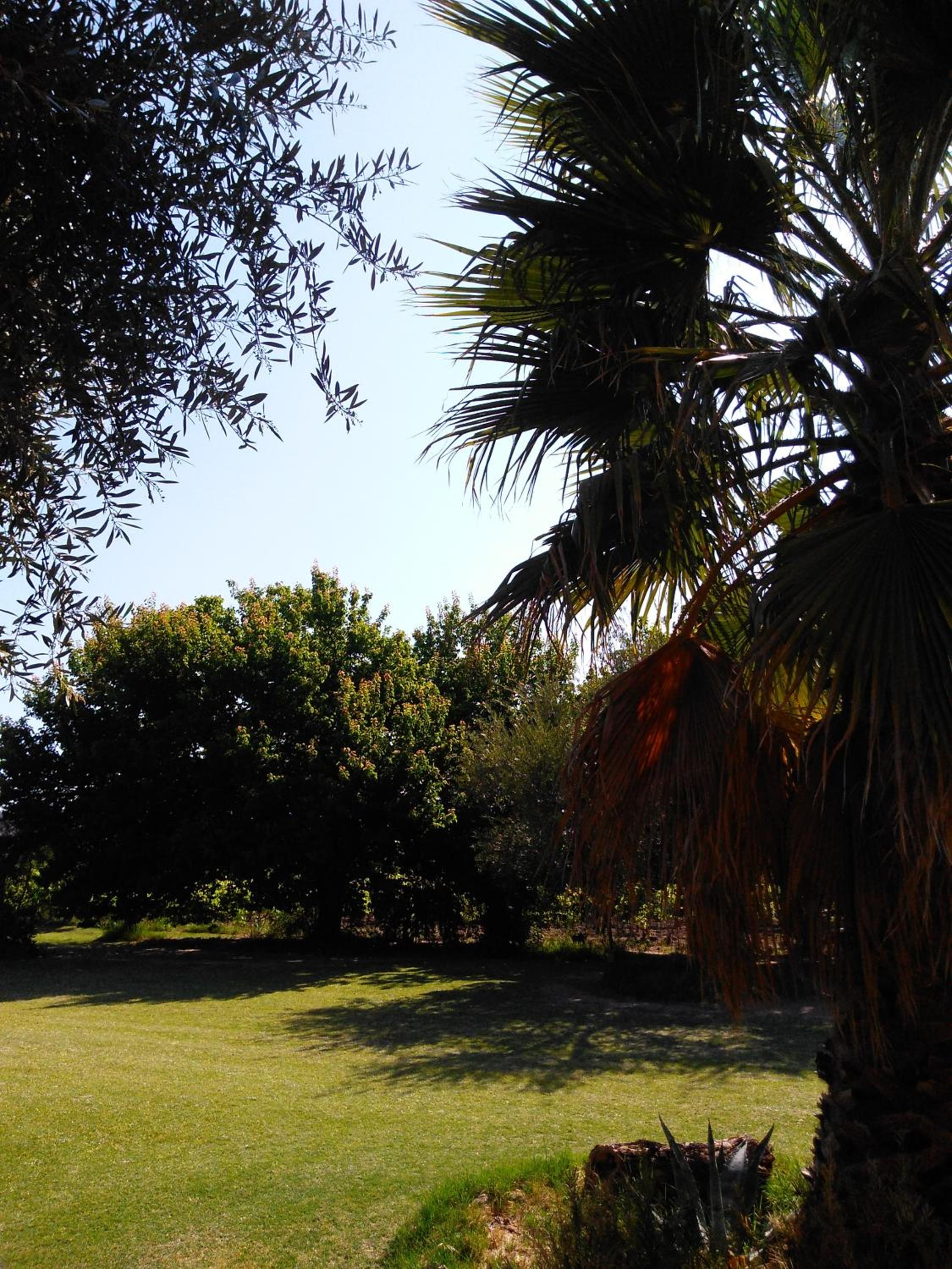 Finca Mula
