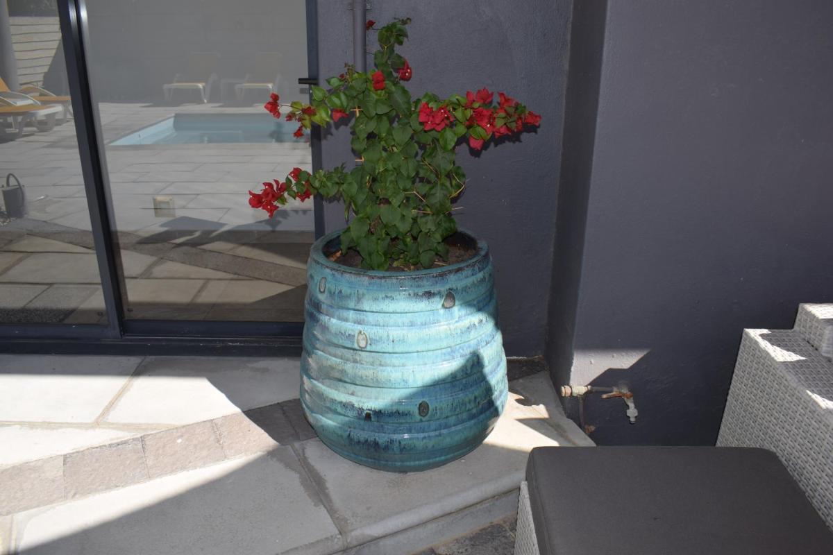 Capetown 4U Guesthouse view 3