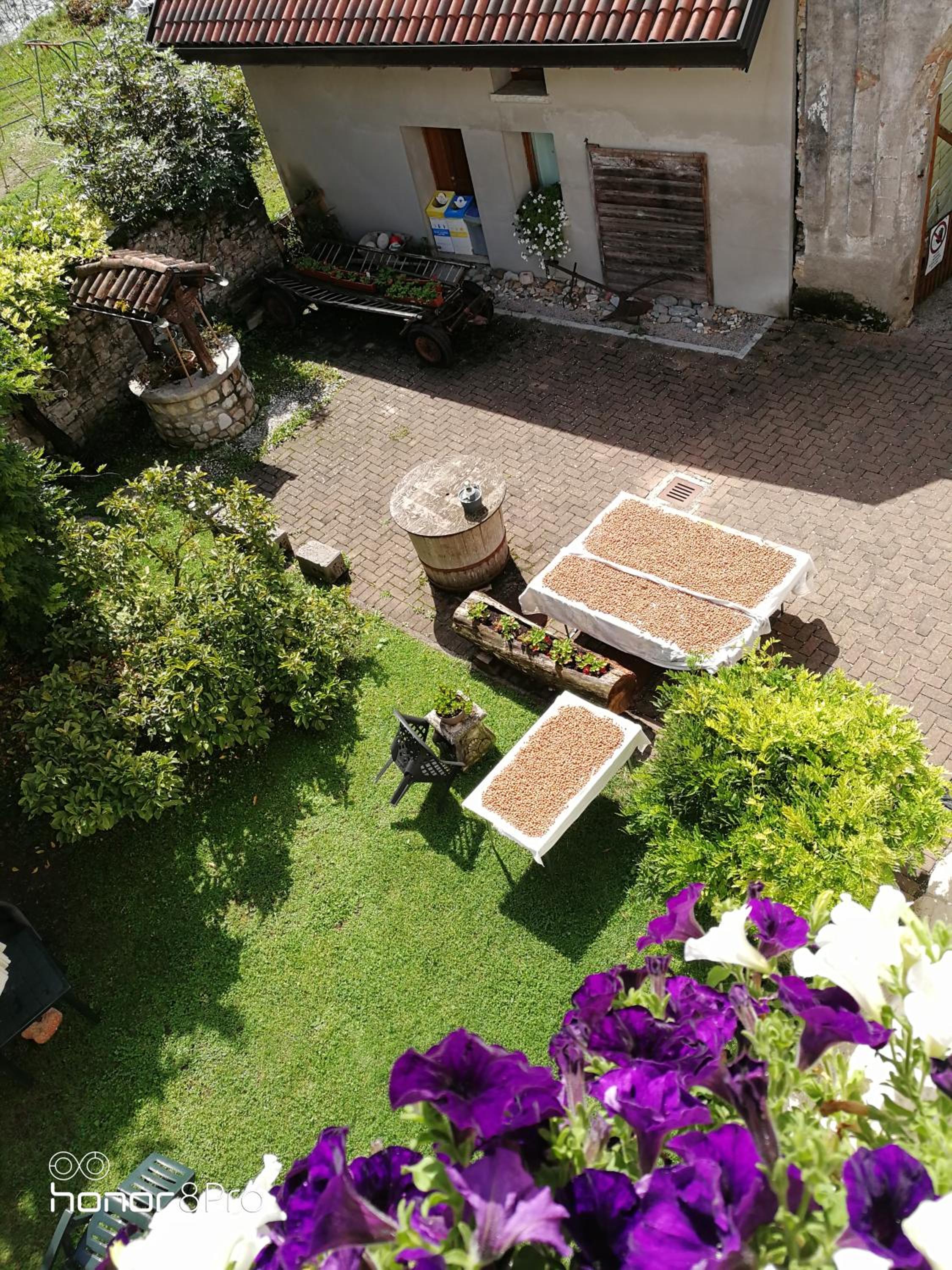 Agriturismo Antica Pieve view 3