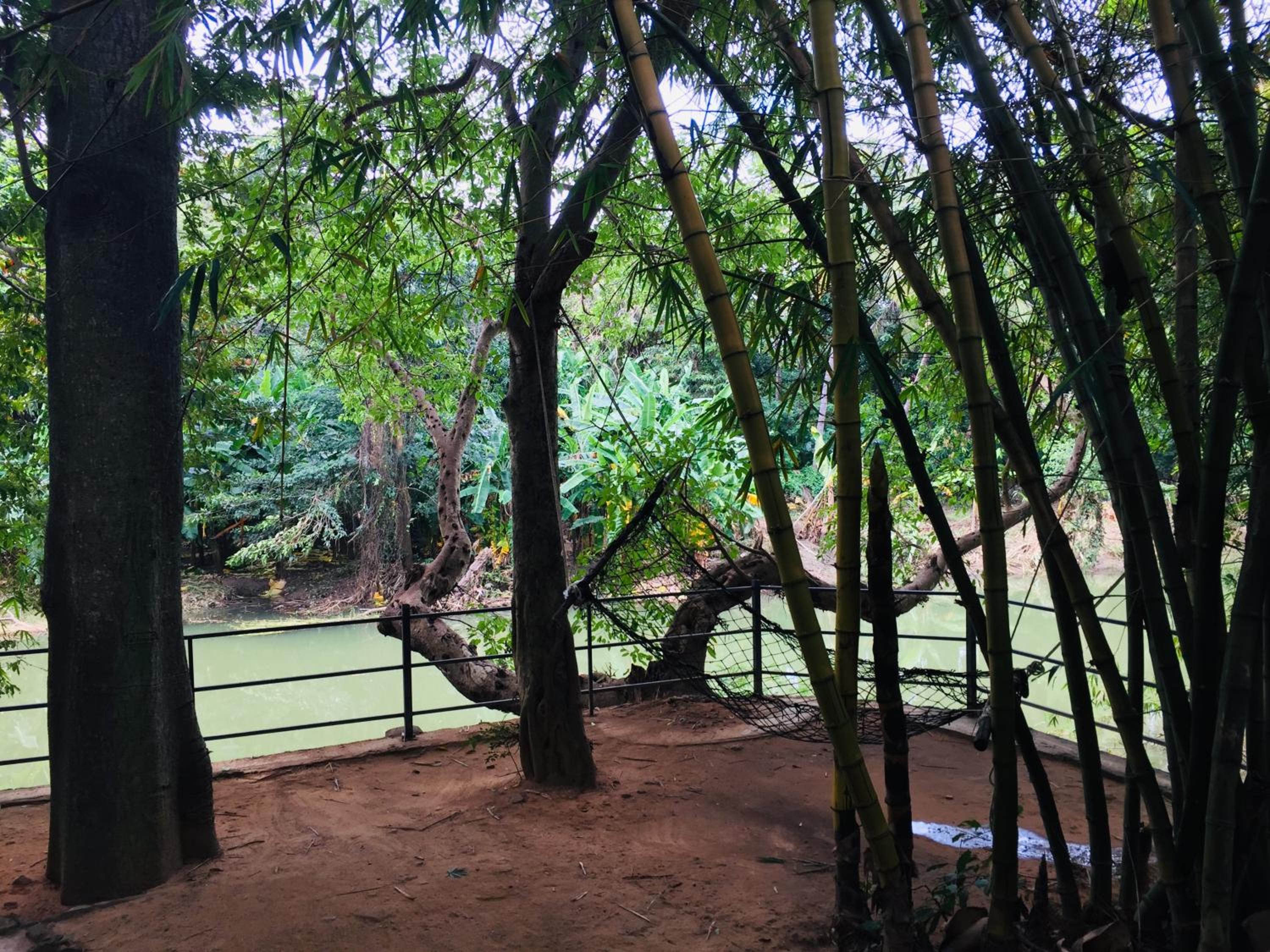 Yala River Face Inn