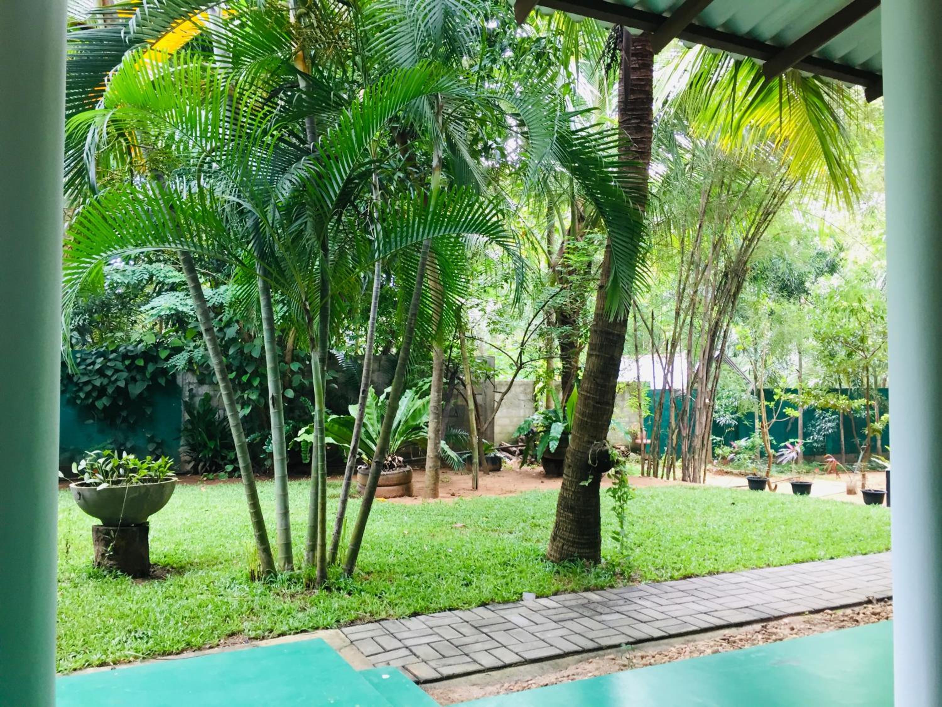 Yala River Face Inn