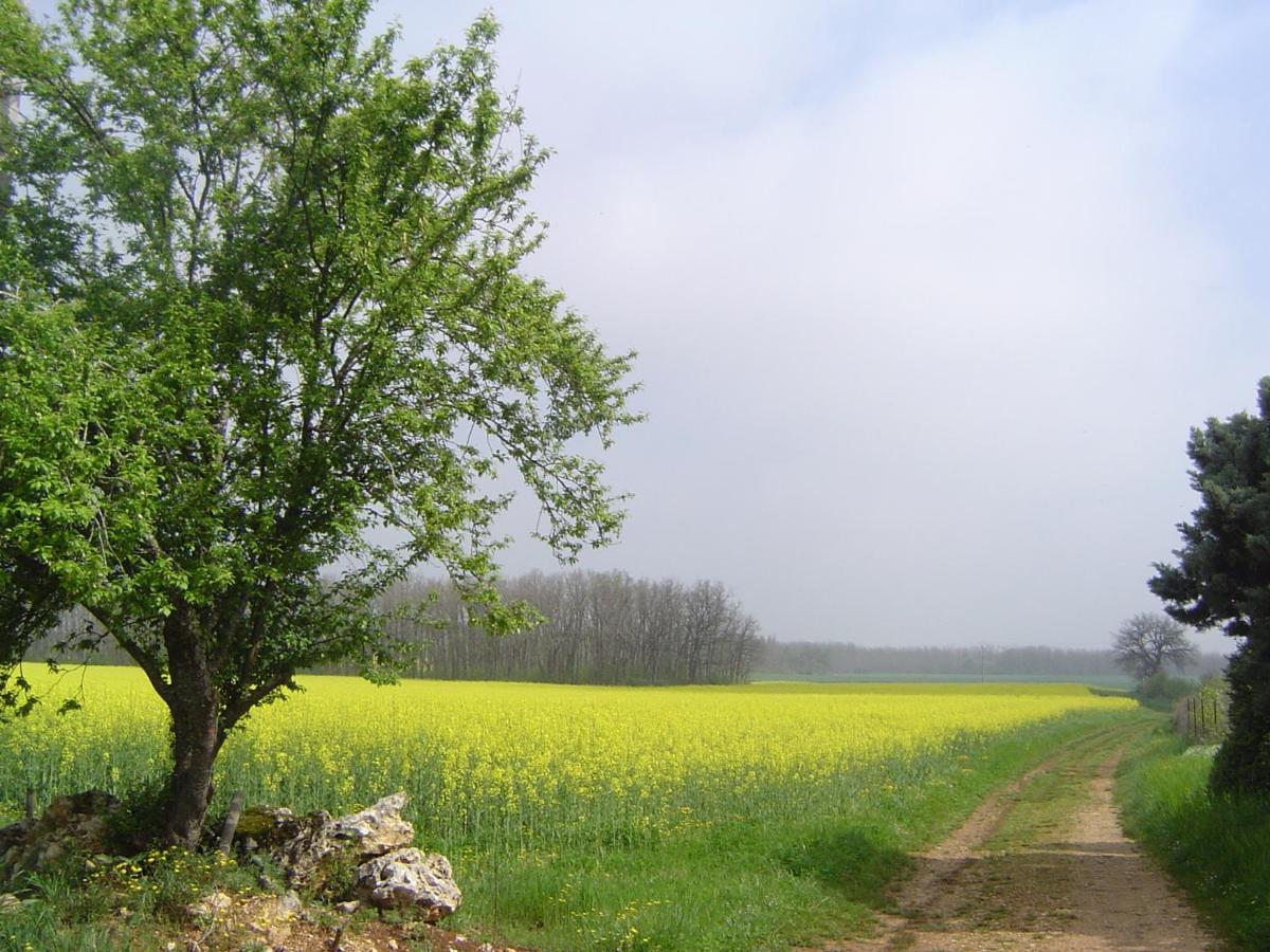 Puechblanc Gîtes et Chambre d'hôte dans le Triangle d'or Gaillac-Albi-Cordes sur Ciel