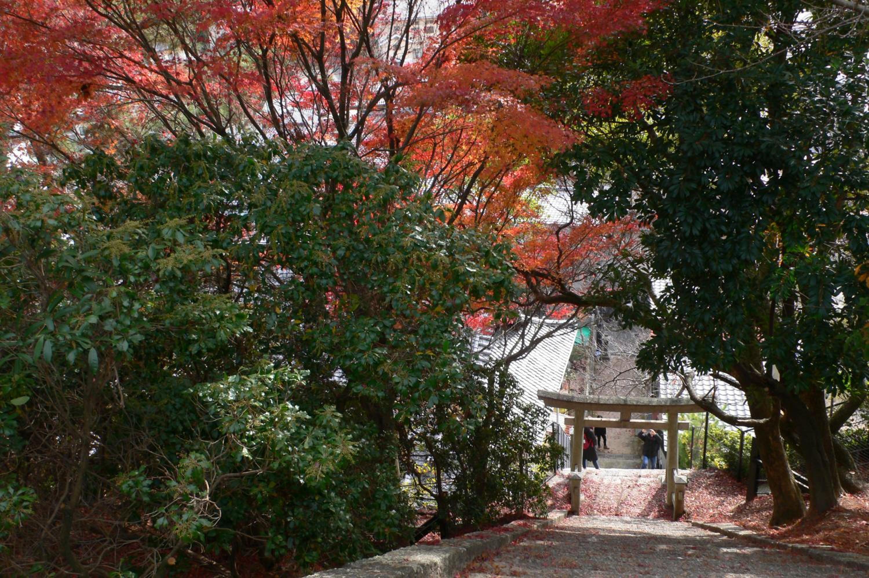 Itsukushimahigashimonzen Kikugawa