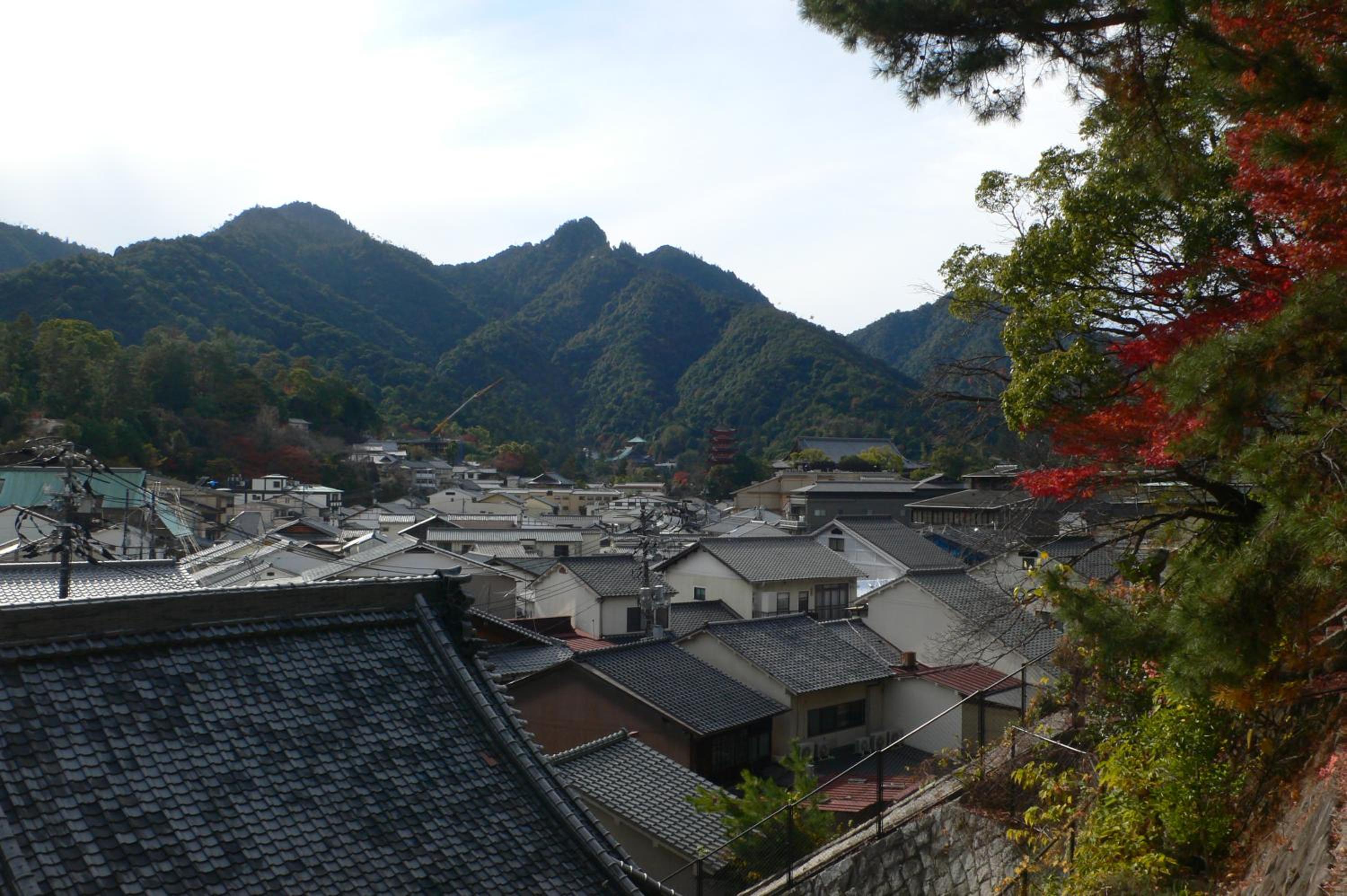 Itsukushimahigashimonzen Kikugawa