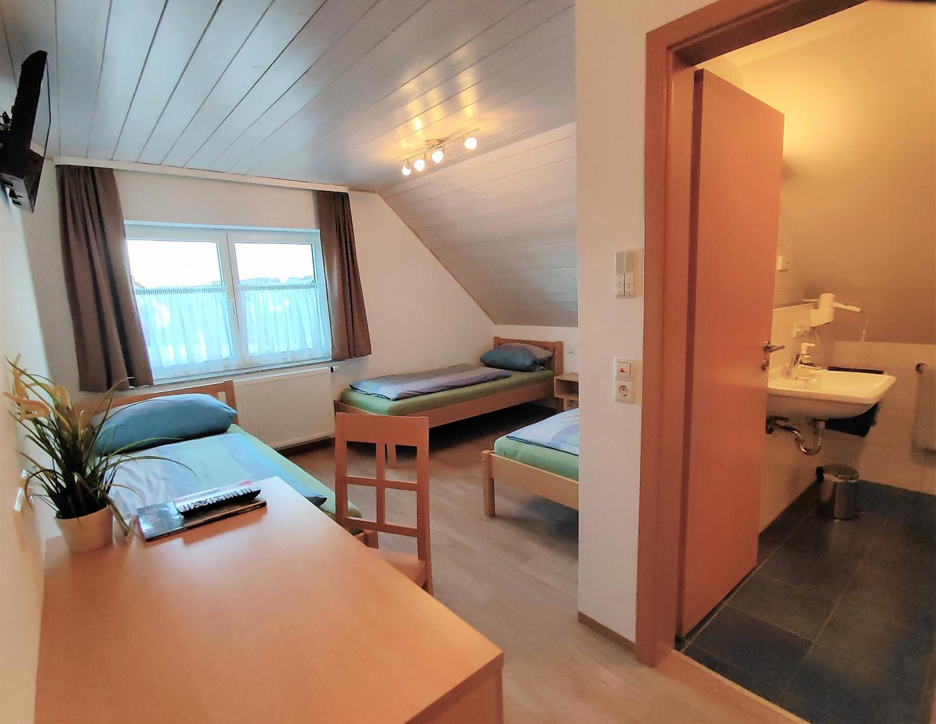 BodenSEE Haus am Geissbock view 2