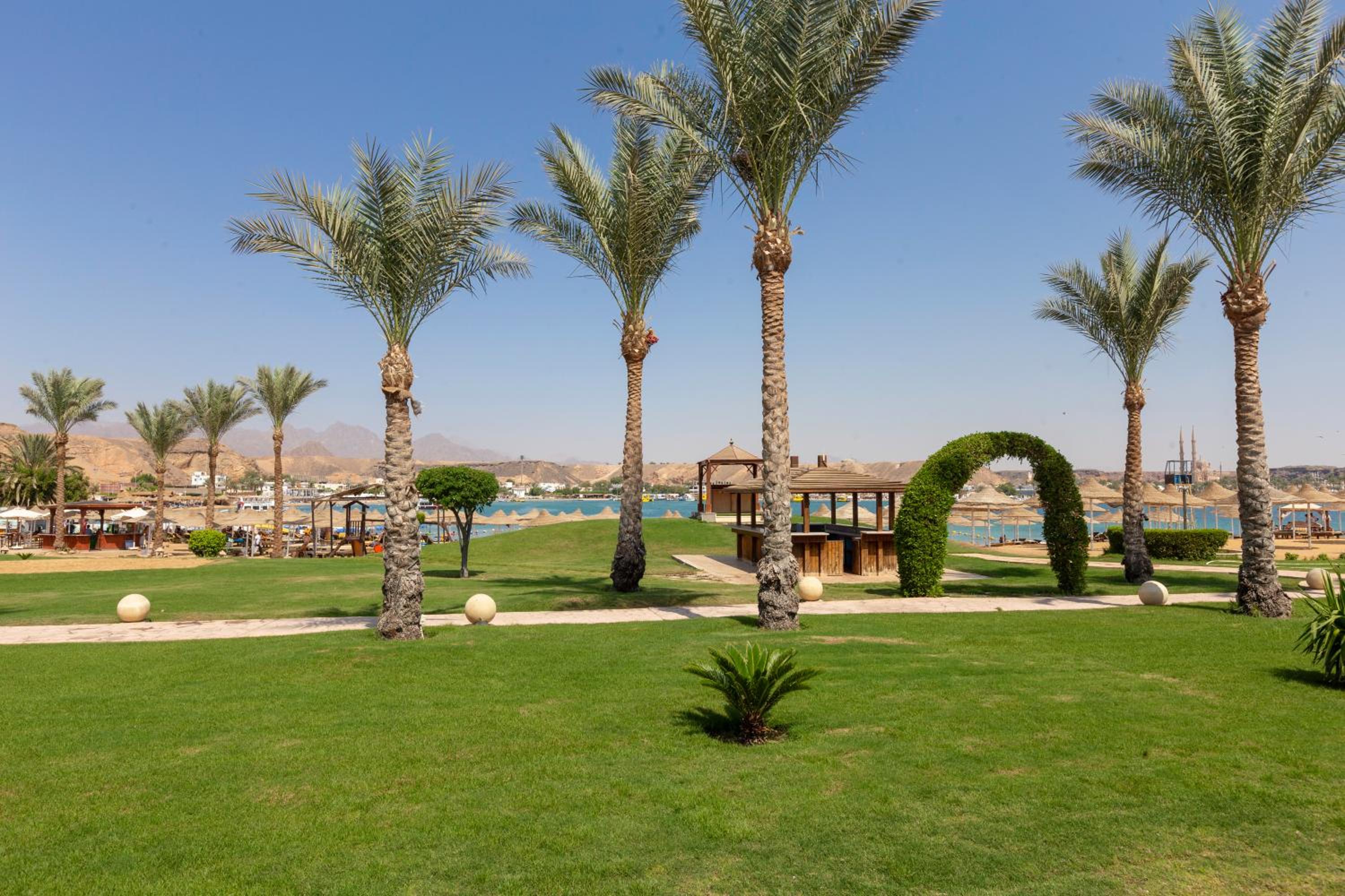 Xperience St. George Sharm El Sheikh — photo 71