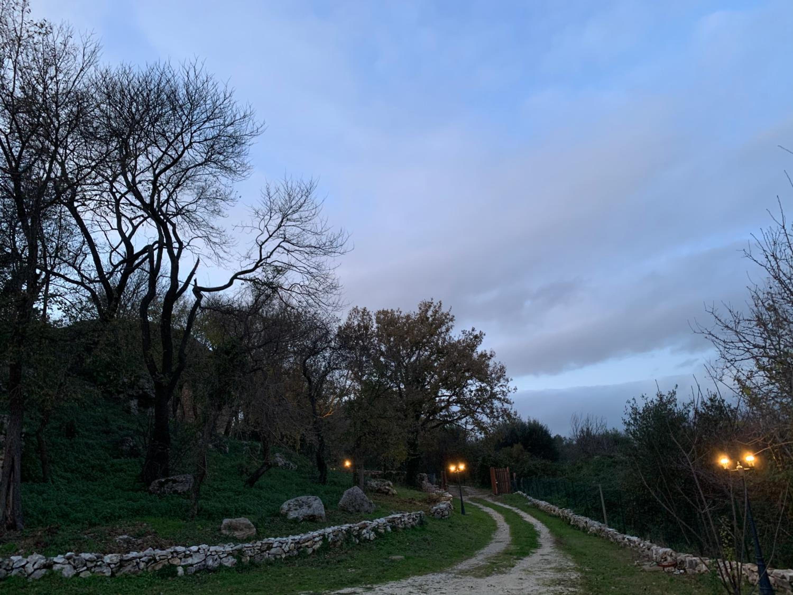 Photo 43