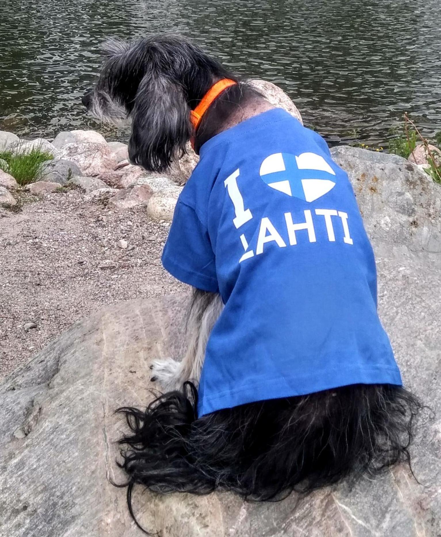 Capitano