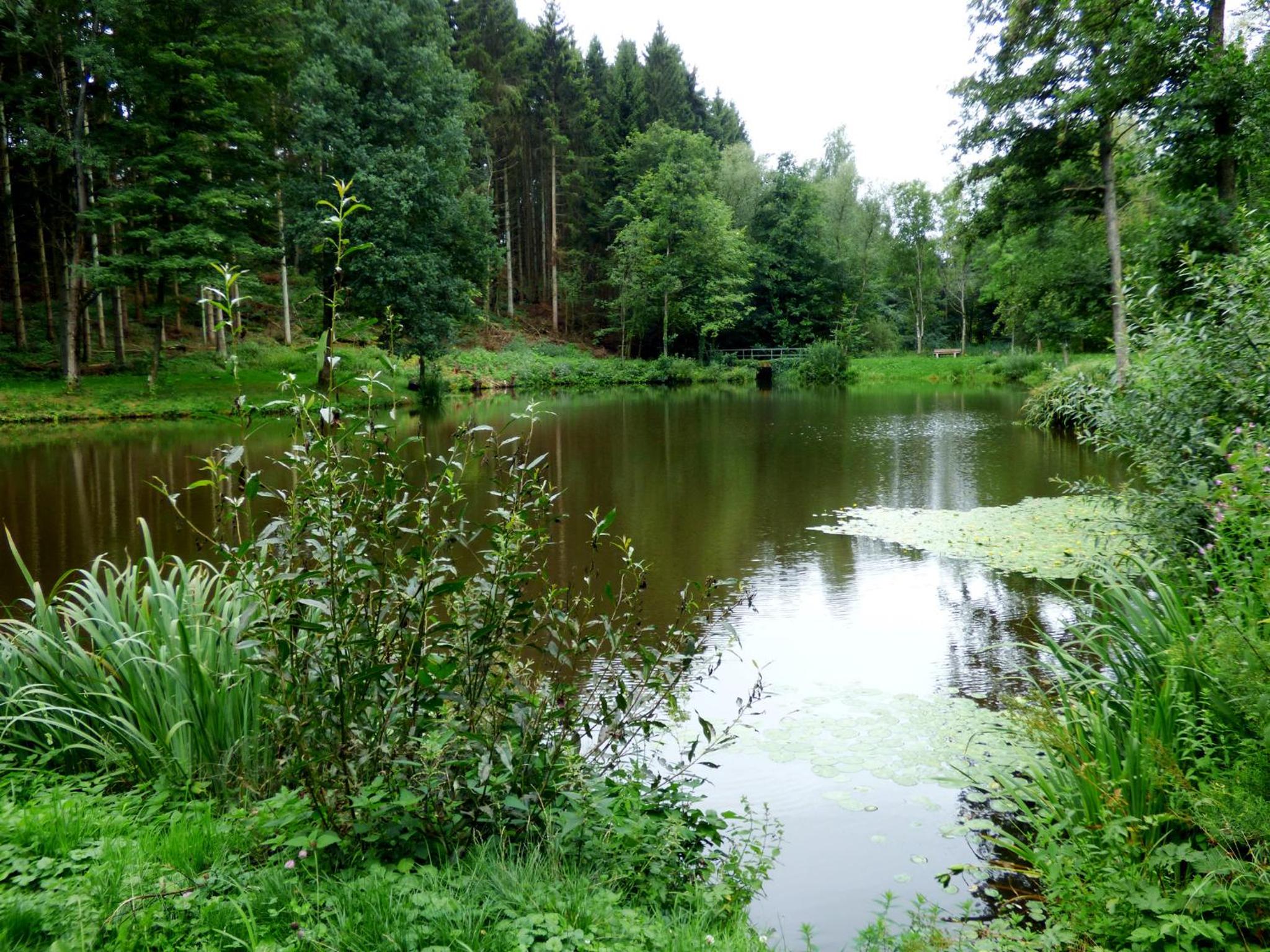 Relaxen am Rosenbusch