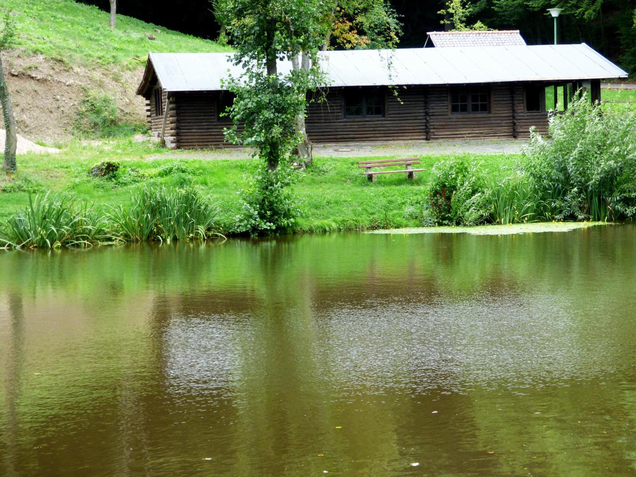 Relaxen am Rosenbusch