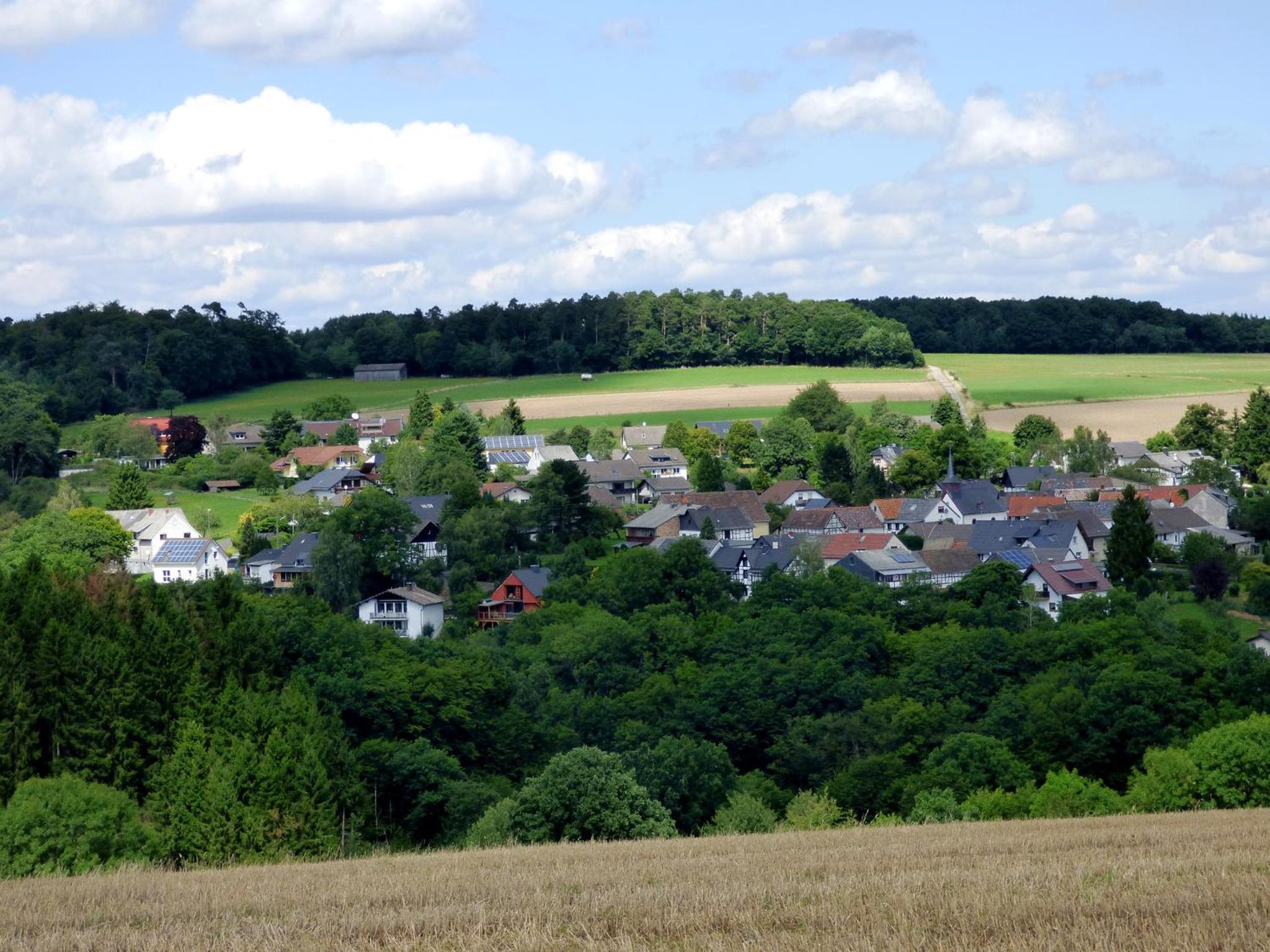 Relaxen am Rosenbusch