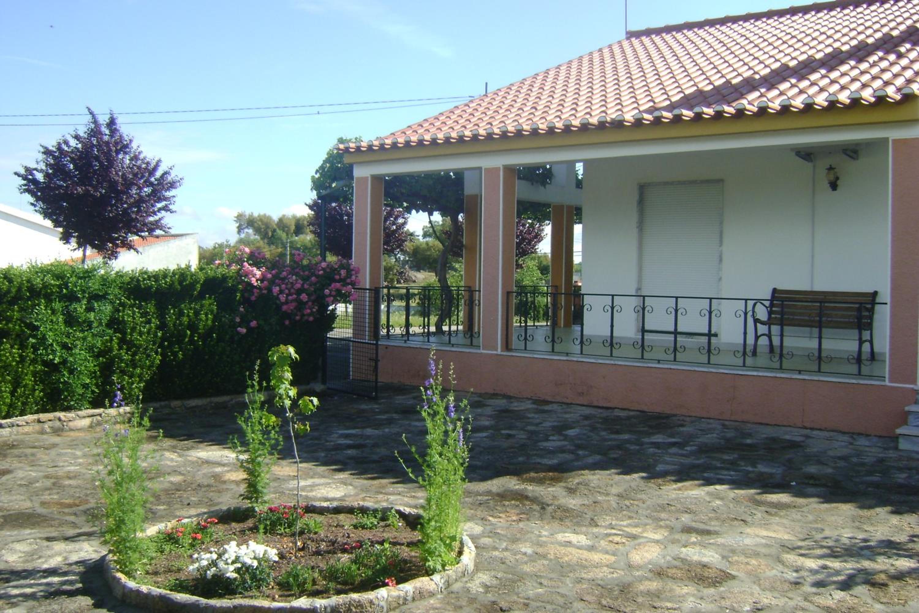 Photo 8