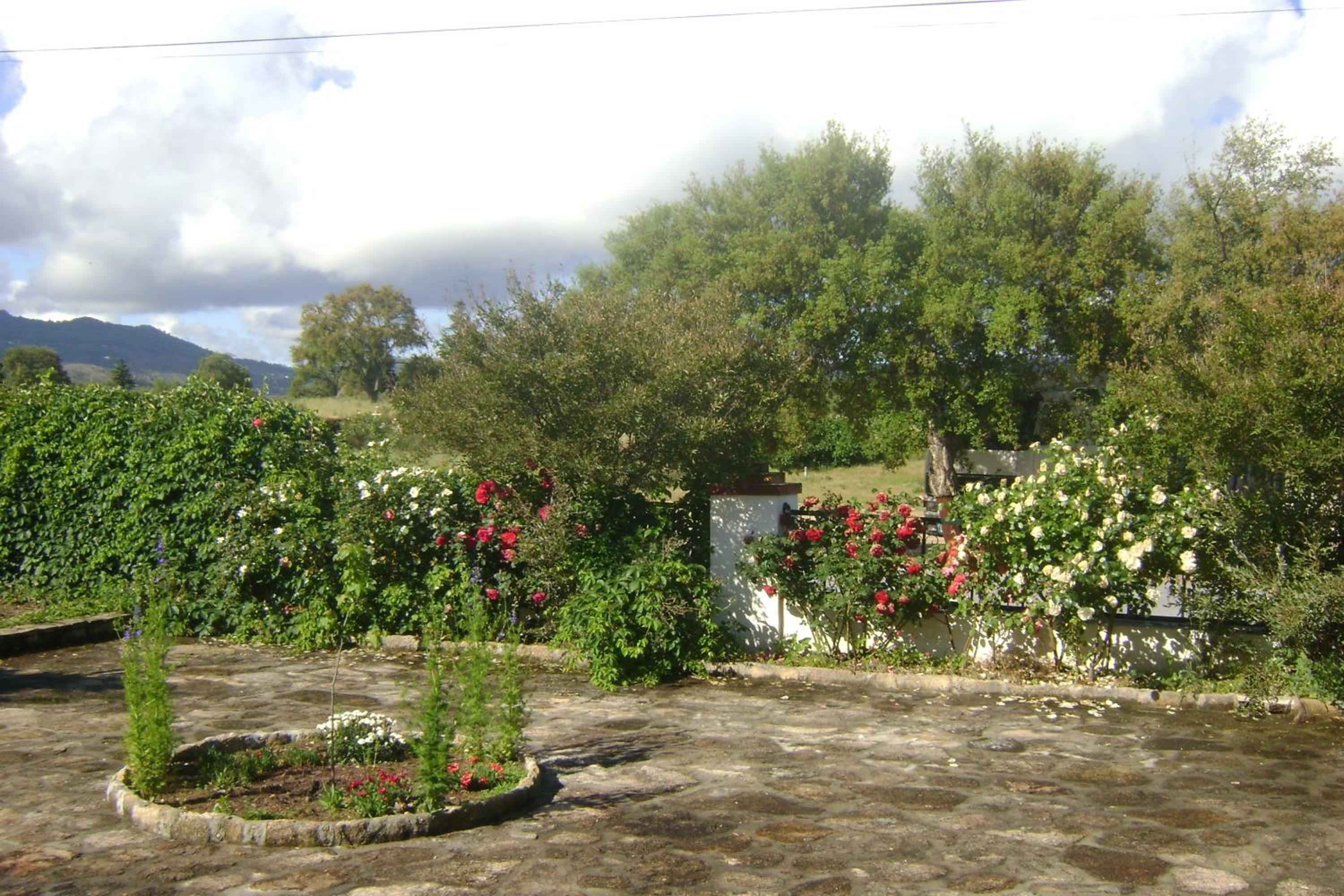 Photo 34
