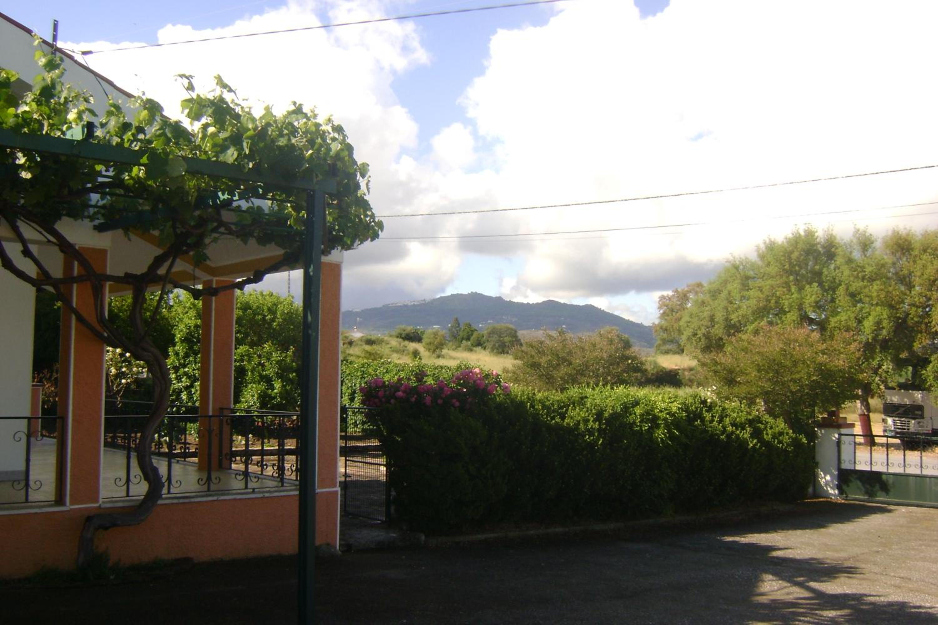 Photo 33