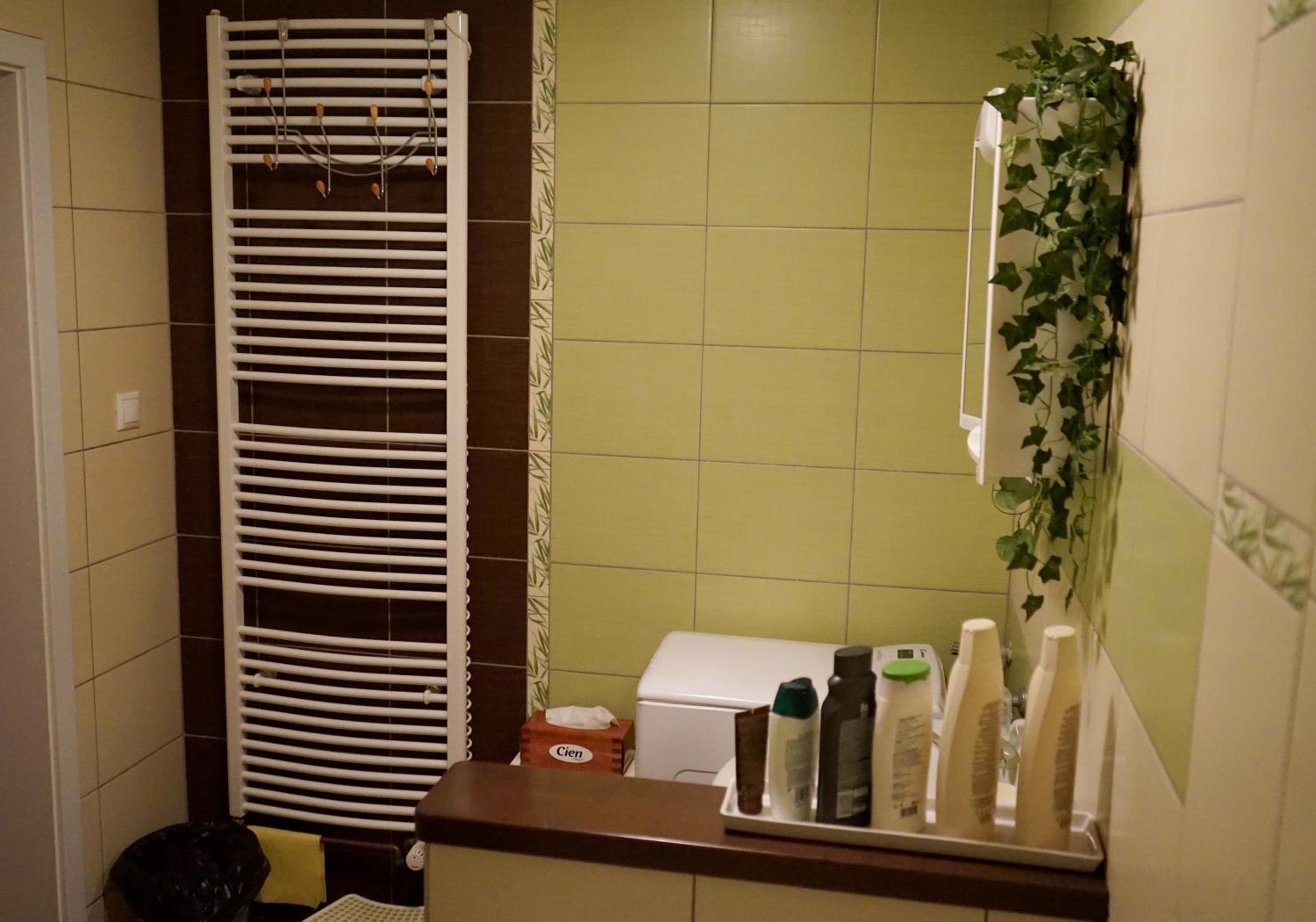 Apartment Boroví