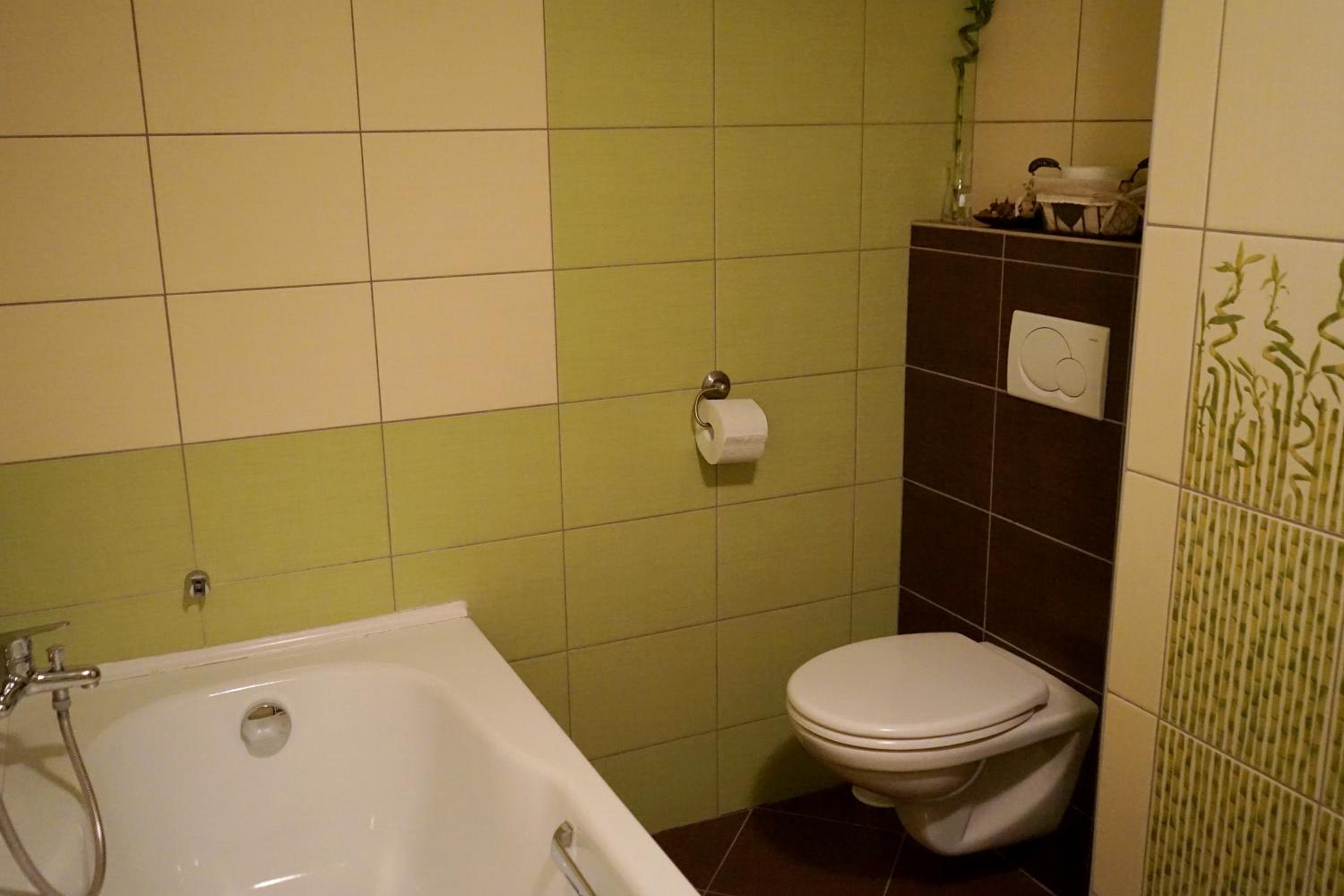 Apartment Boroví