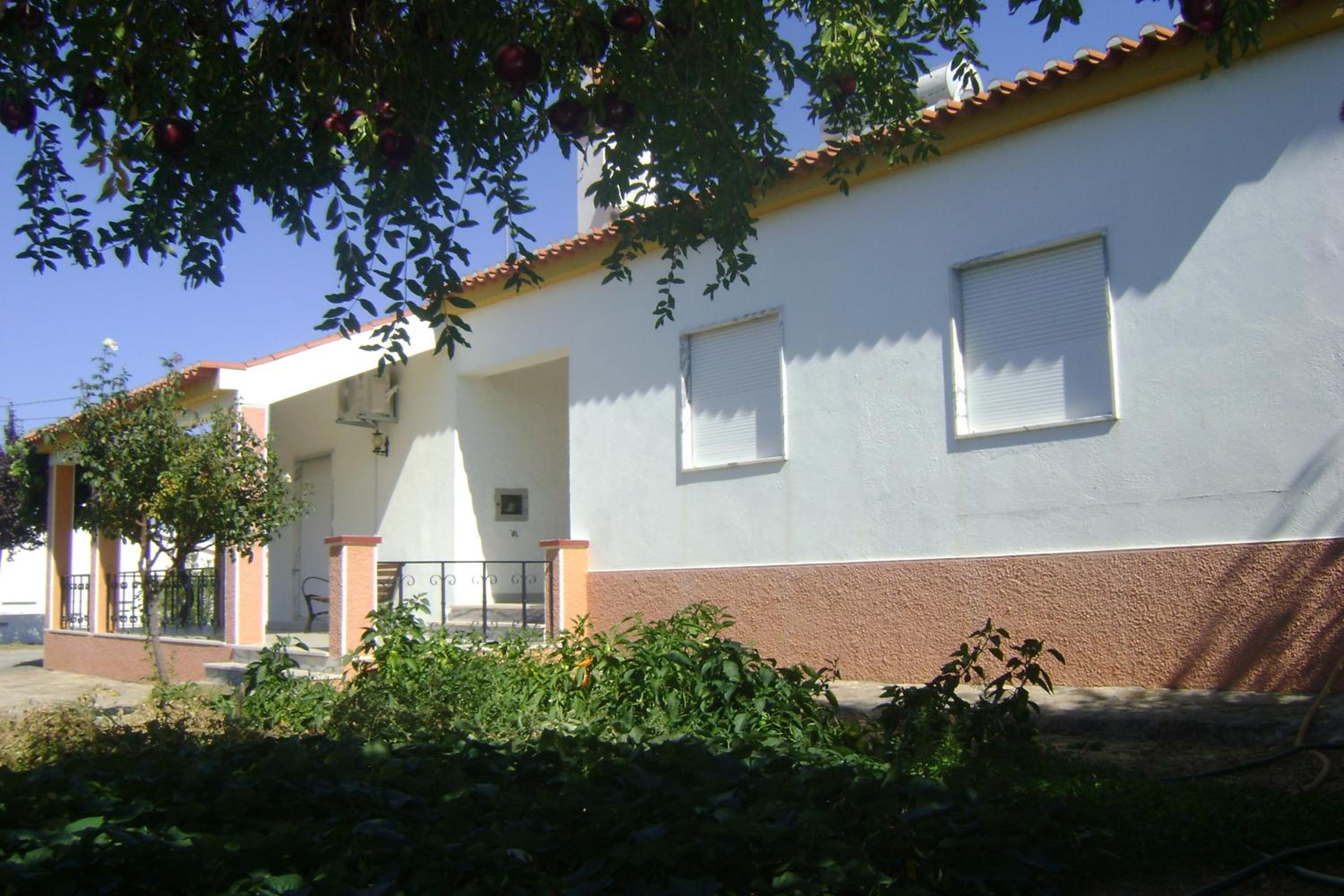 Photo 31