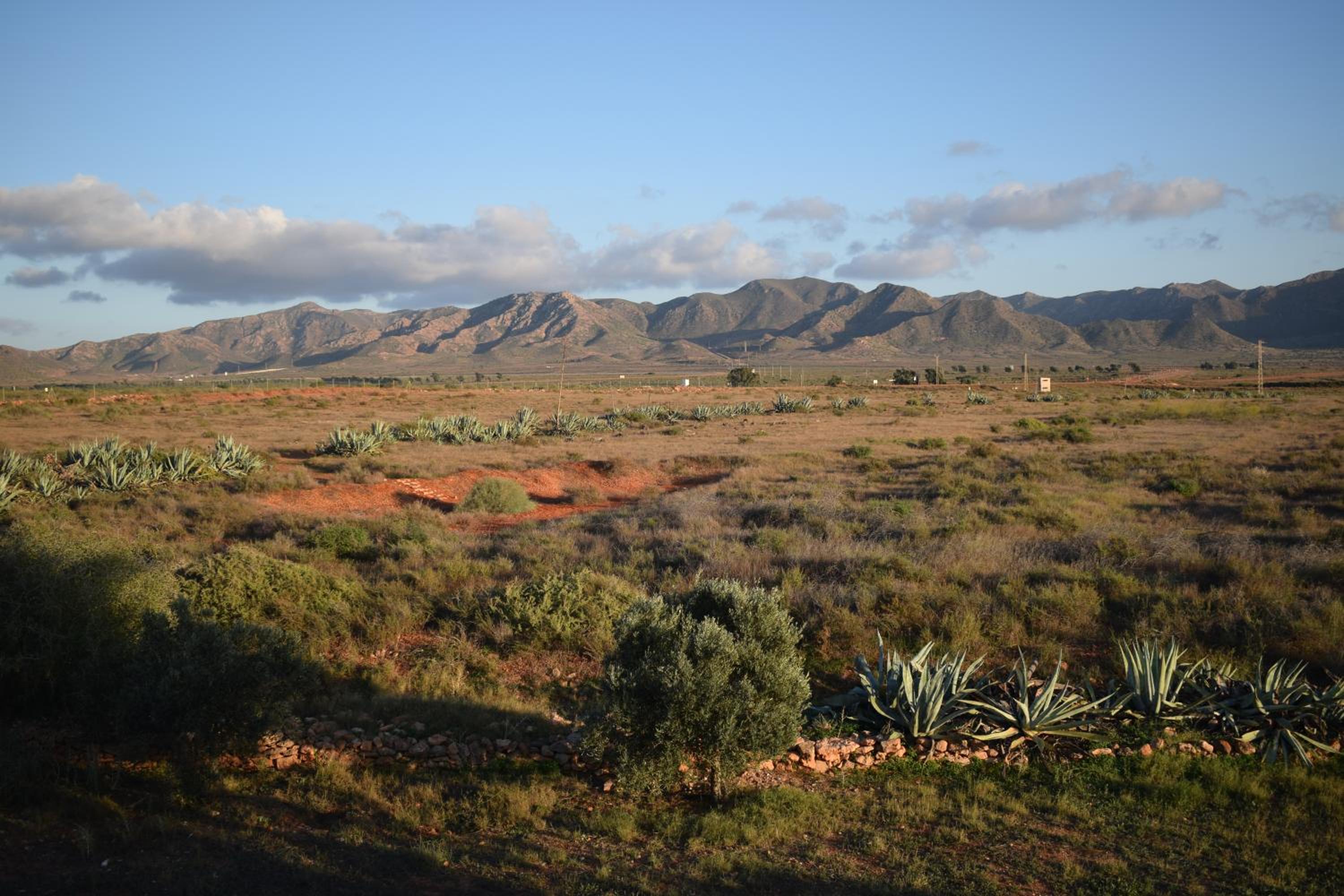 Cortijo La Molina de Cabo de Gata - Property Image 57