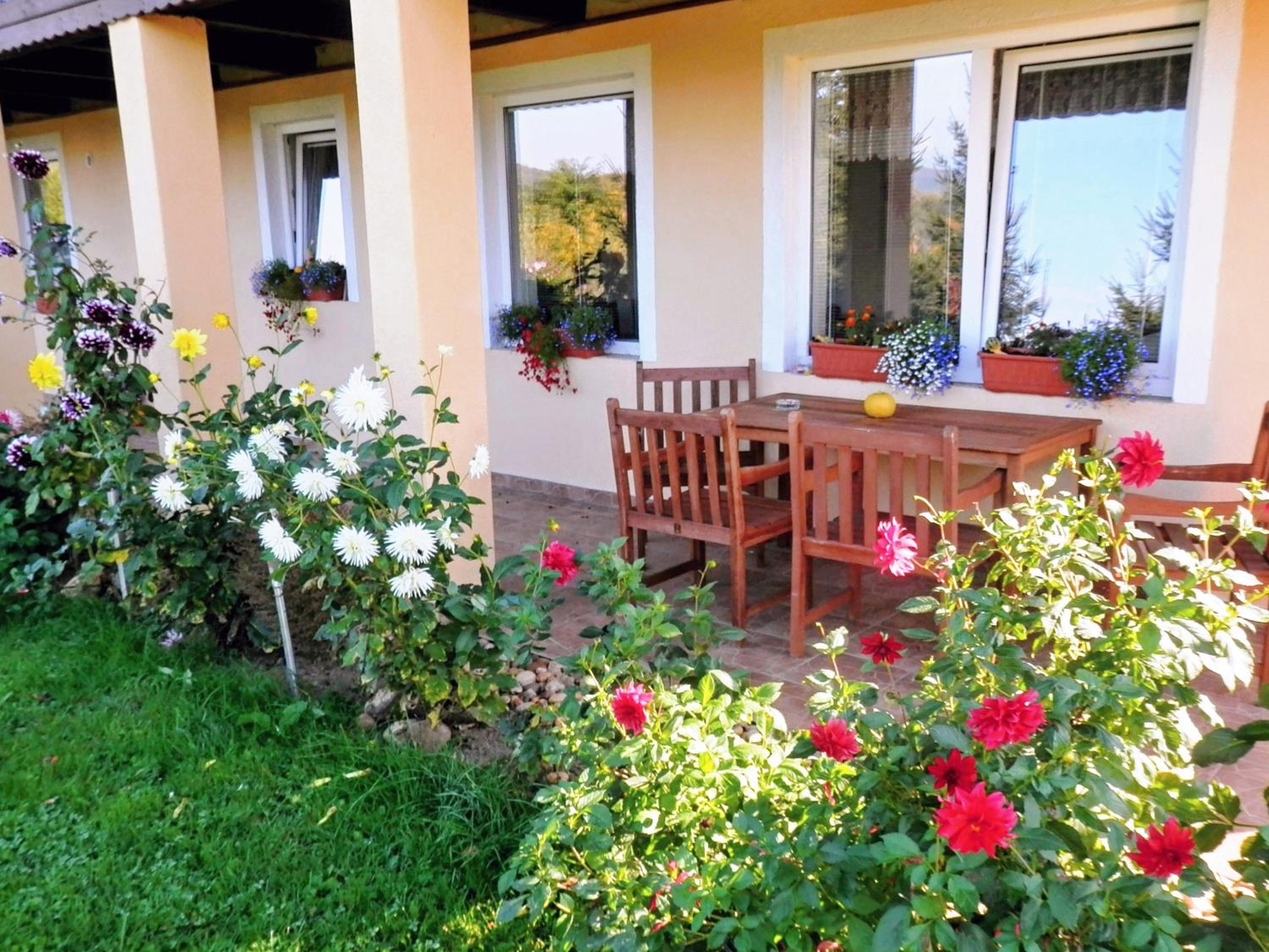 Apartment Boroví