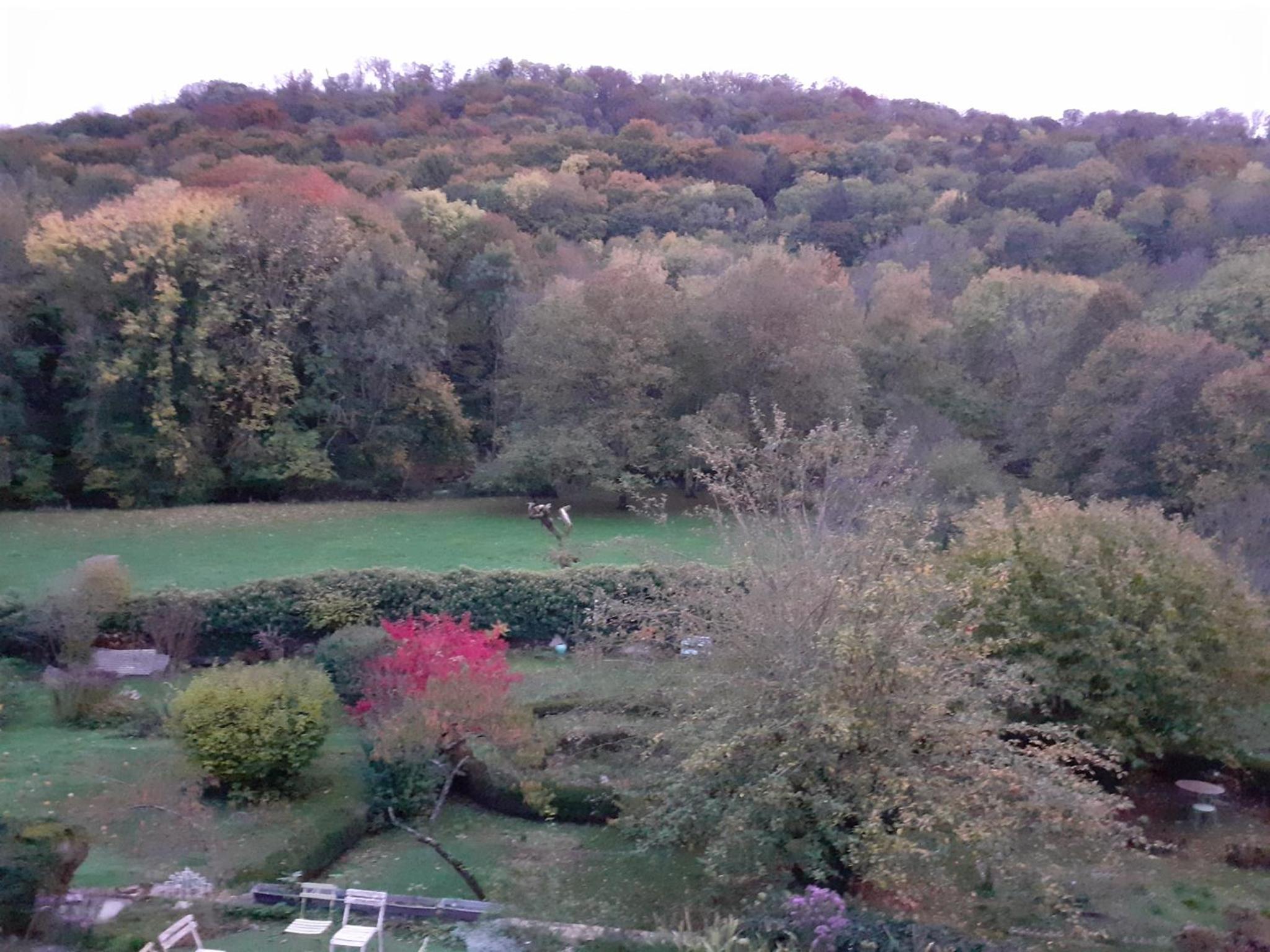 la grange aux oiseaux