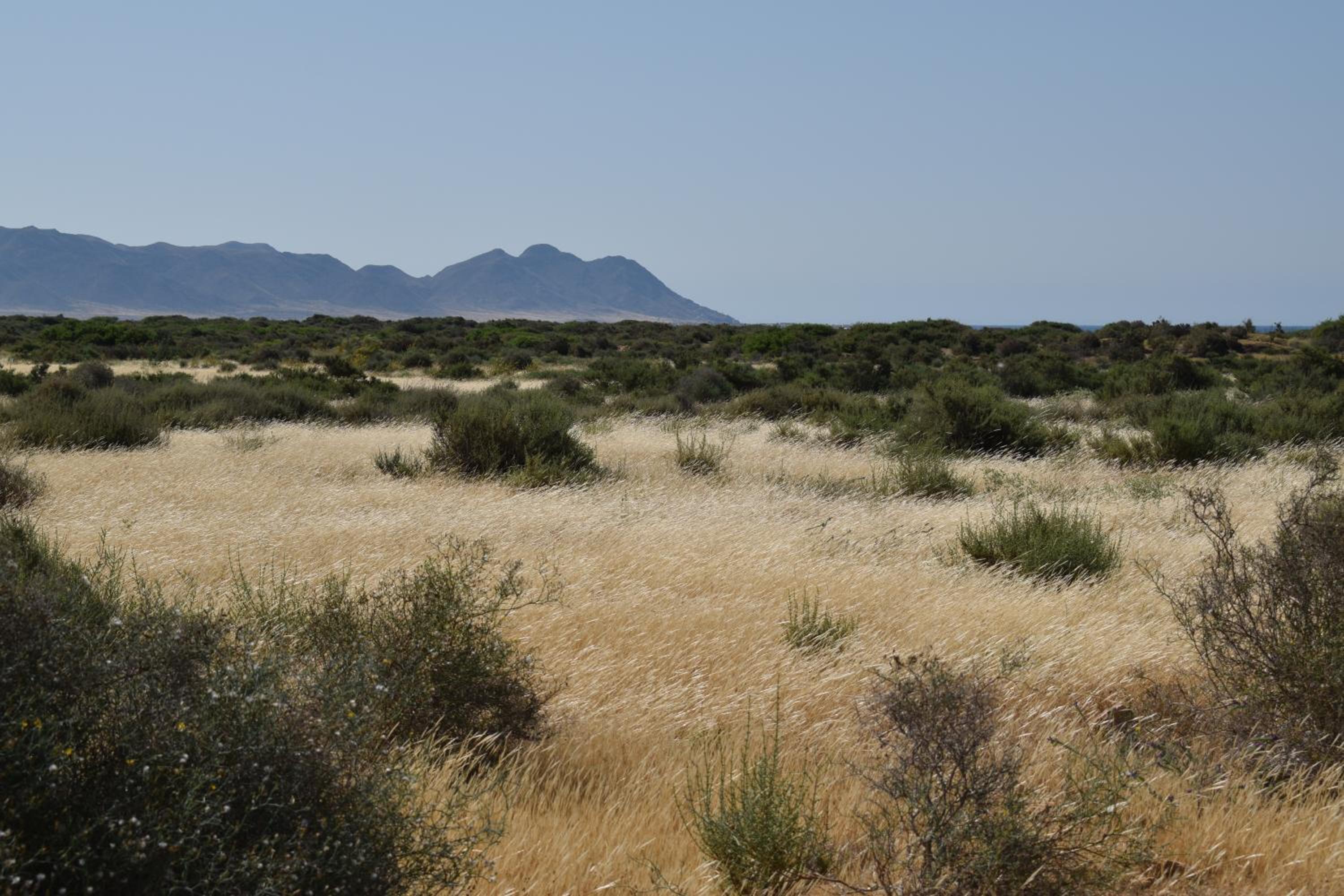 Cortijo La Molina de Cabo de Gata - Property Image 49