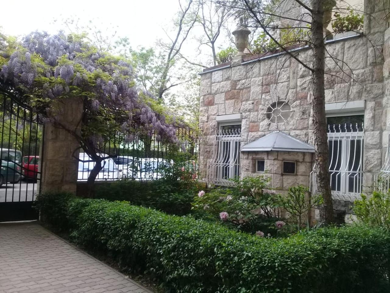 Modern Parkside Garden View Apartment