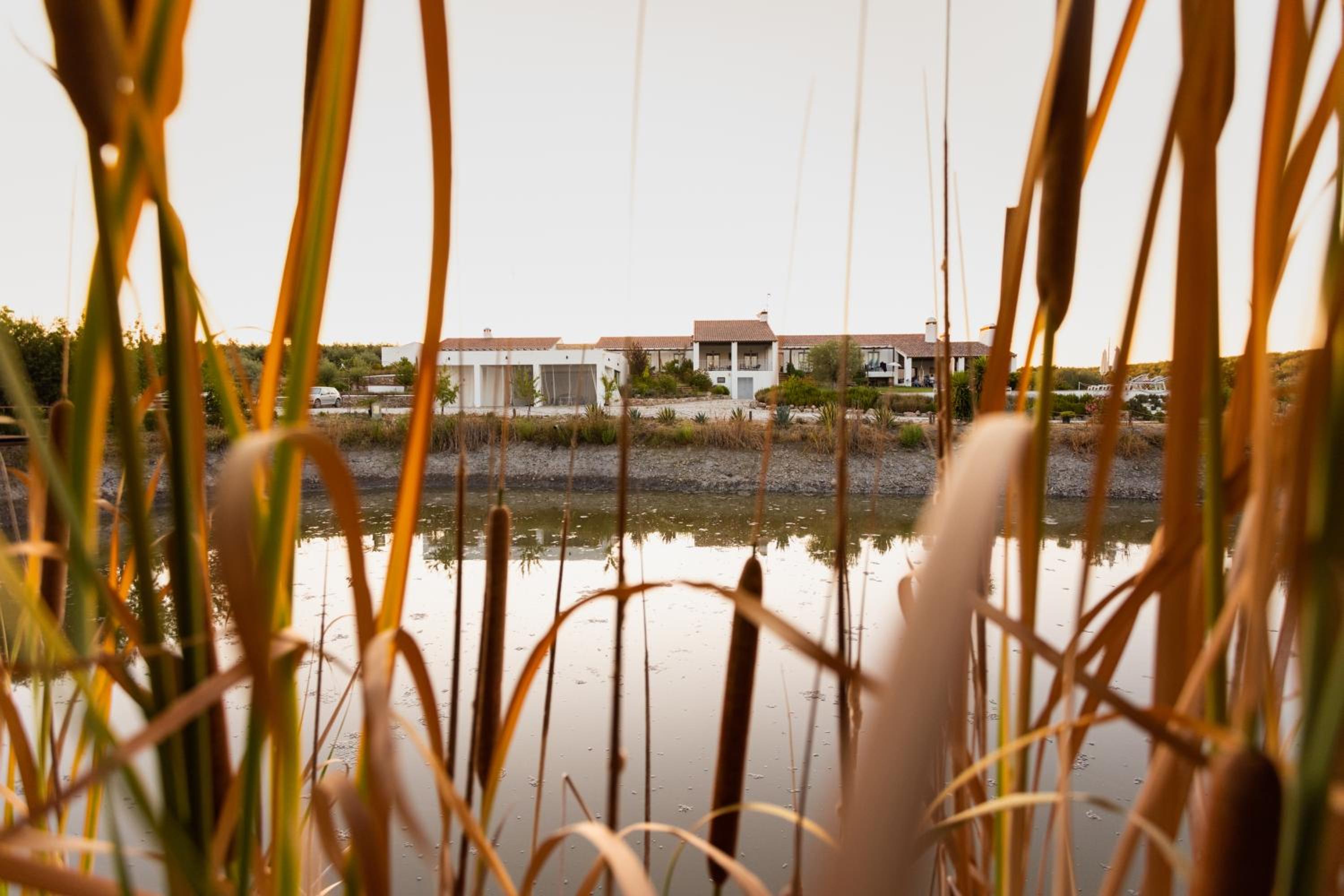 Monte da Estrela - Country House & SPA