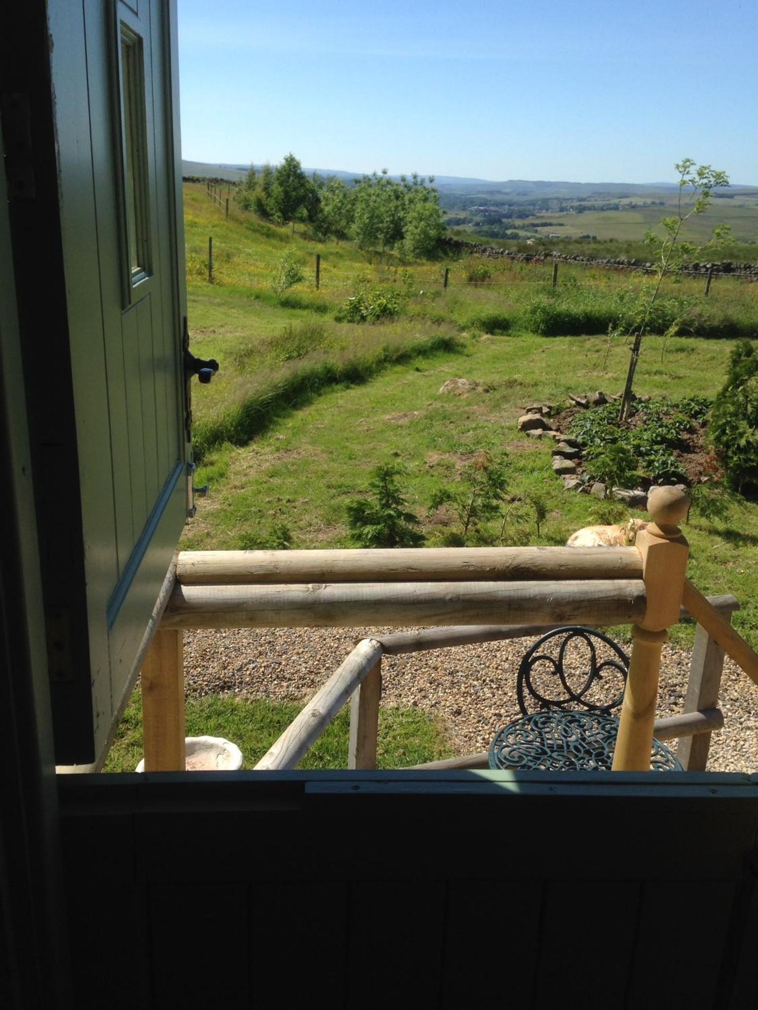 Lizzie off grid Shepherds Hut The Buteland Stop