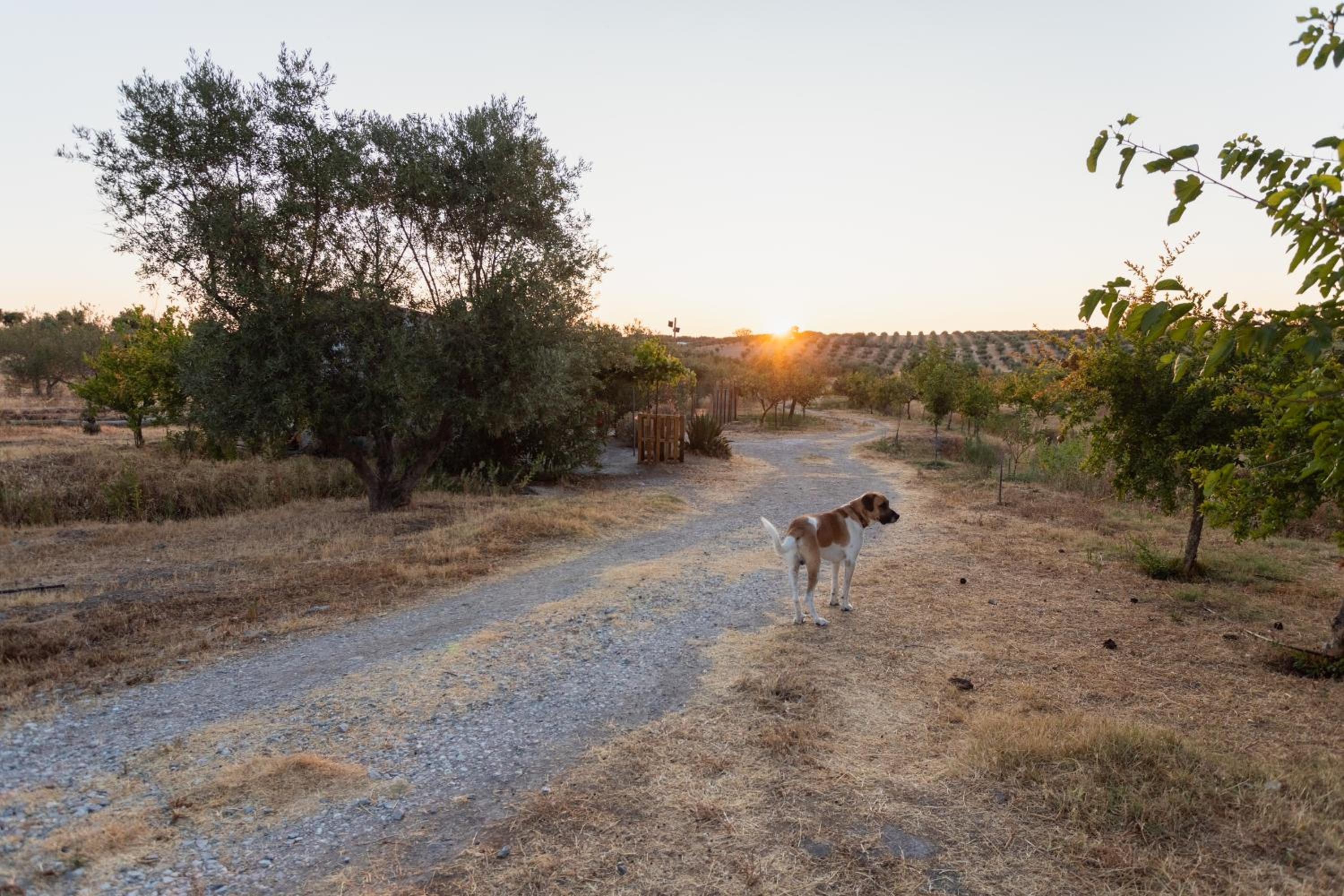 Monte da Estrela - Country House & SPA