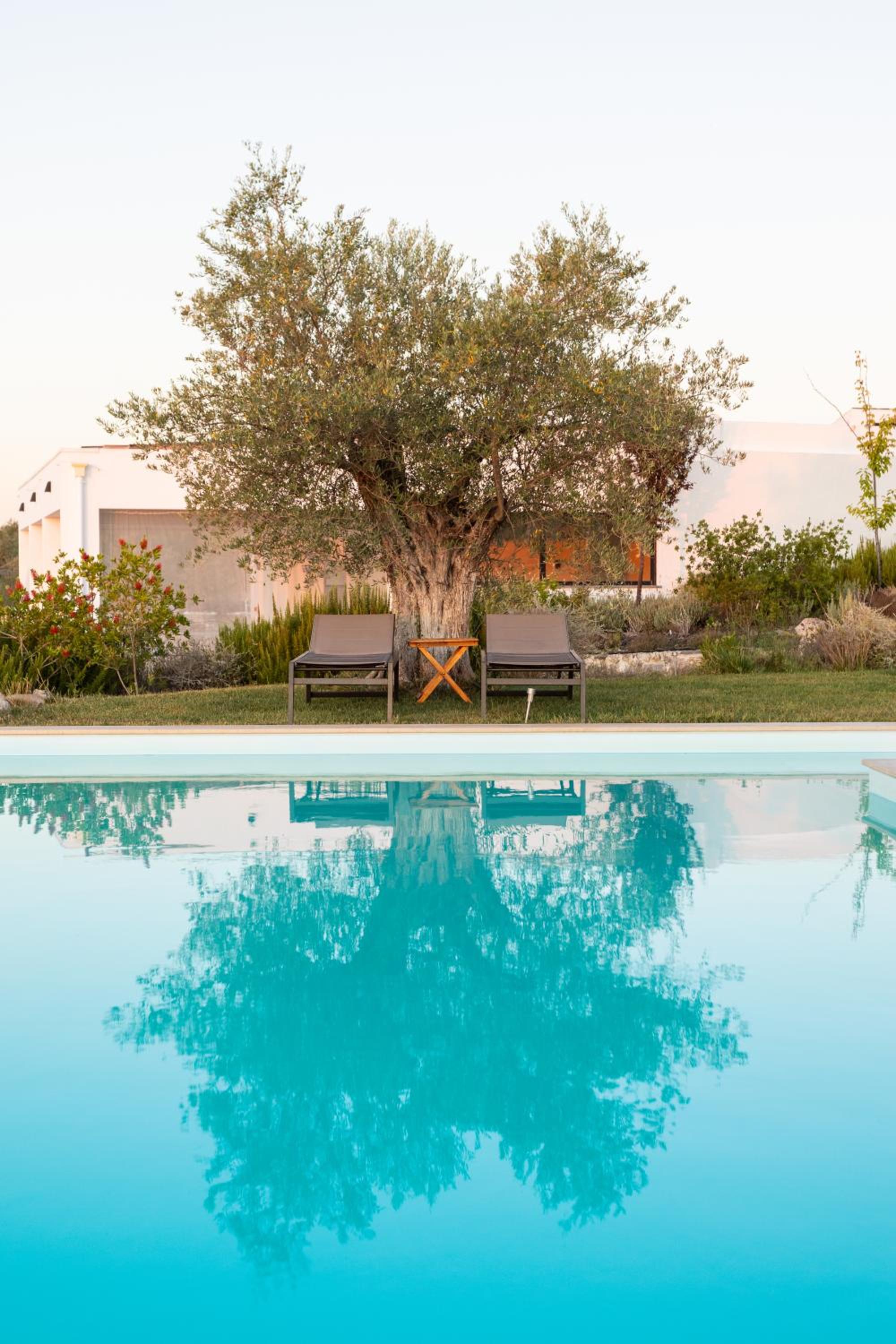 Monte da Estrela - Country House & SPA