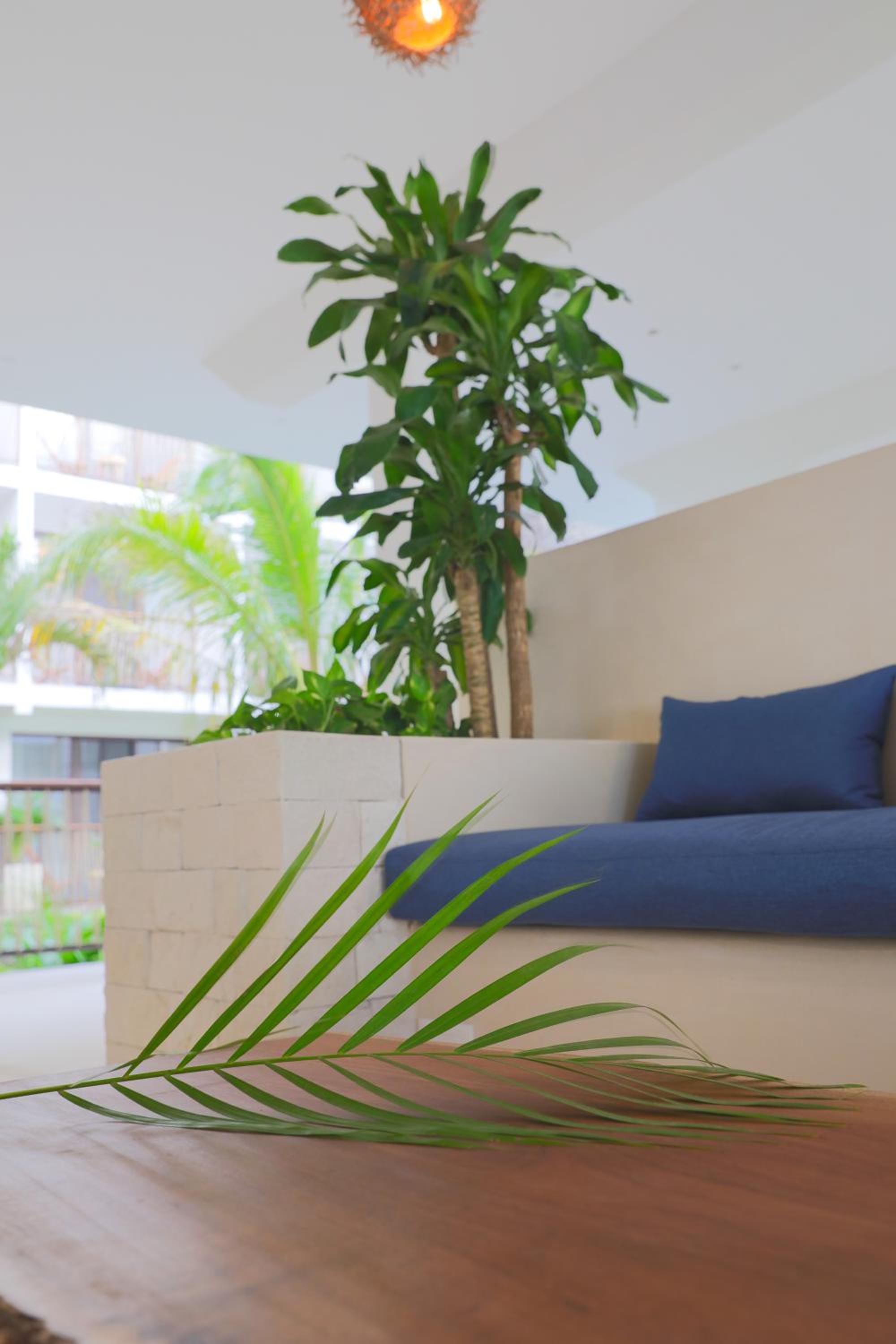 Hotel Blanco Tulum - Property Image 54