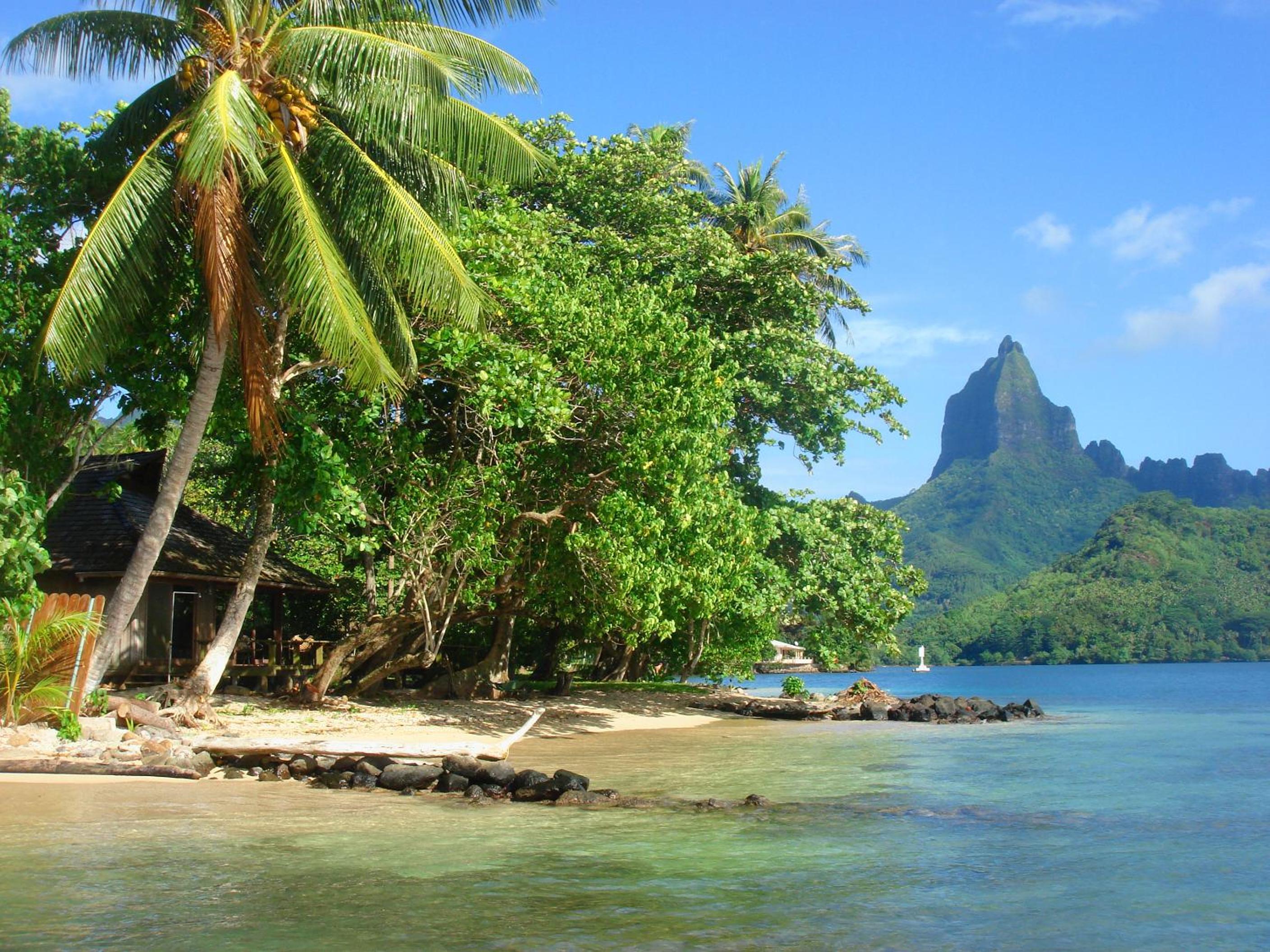 Robinson's Cove Villas