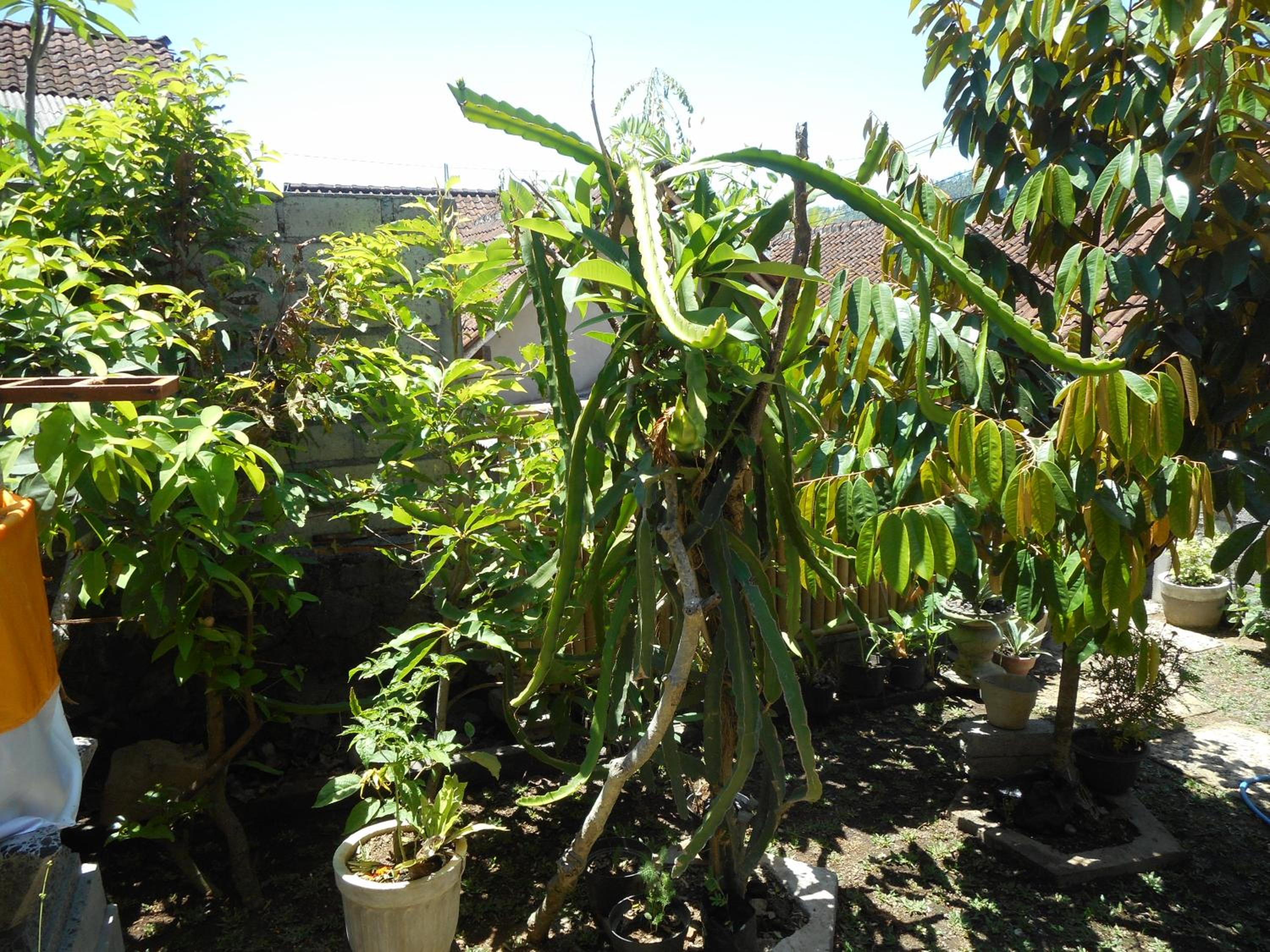 other