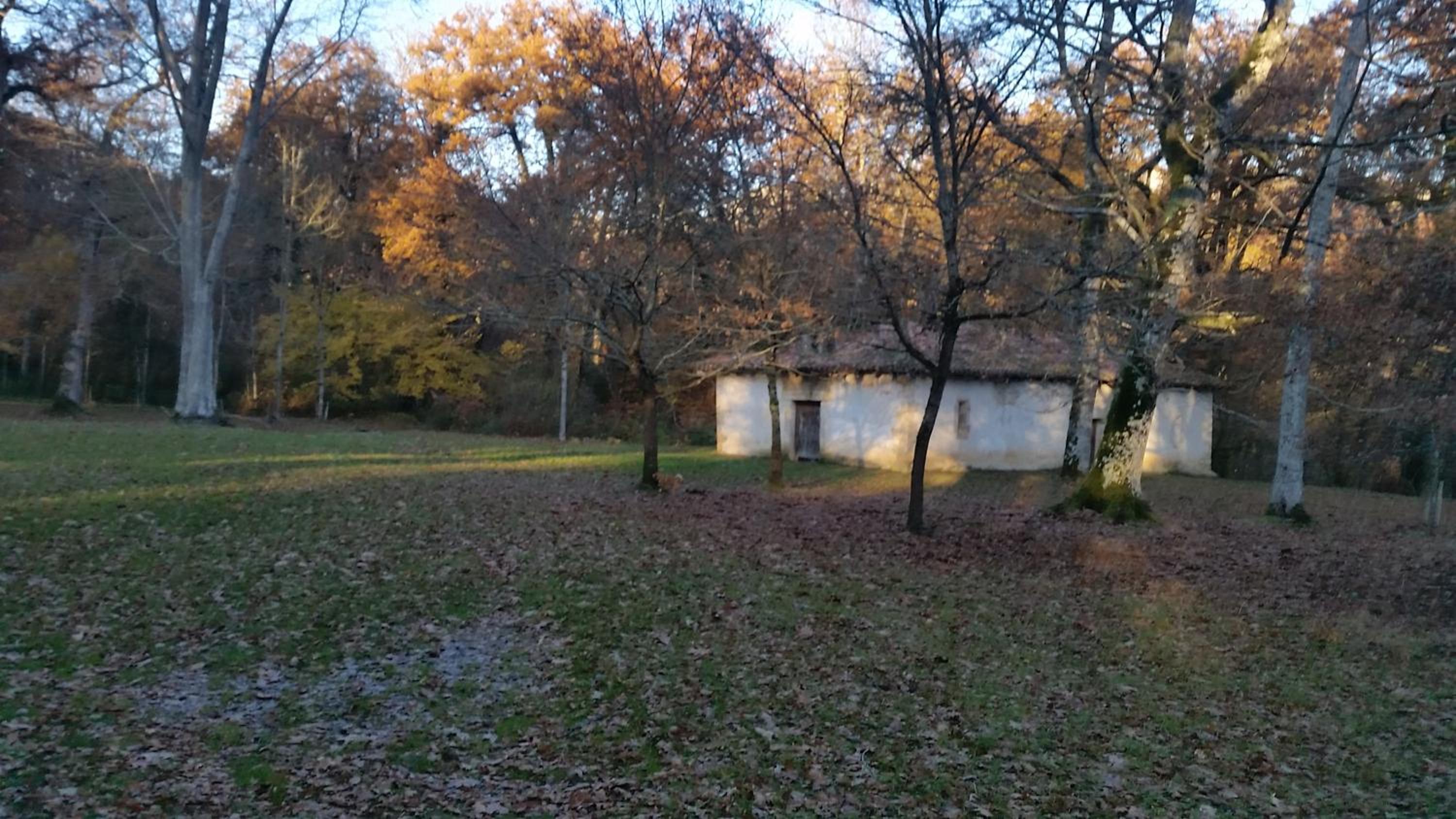 Photo 18