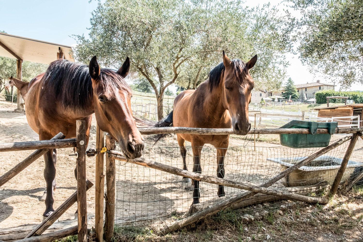 Agriturismo Goccia di Luna