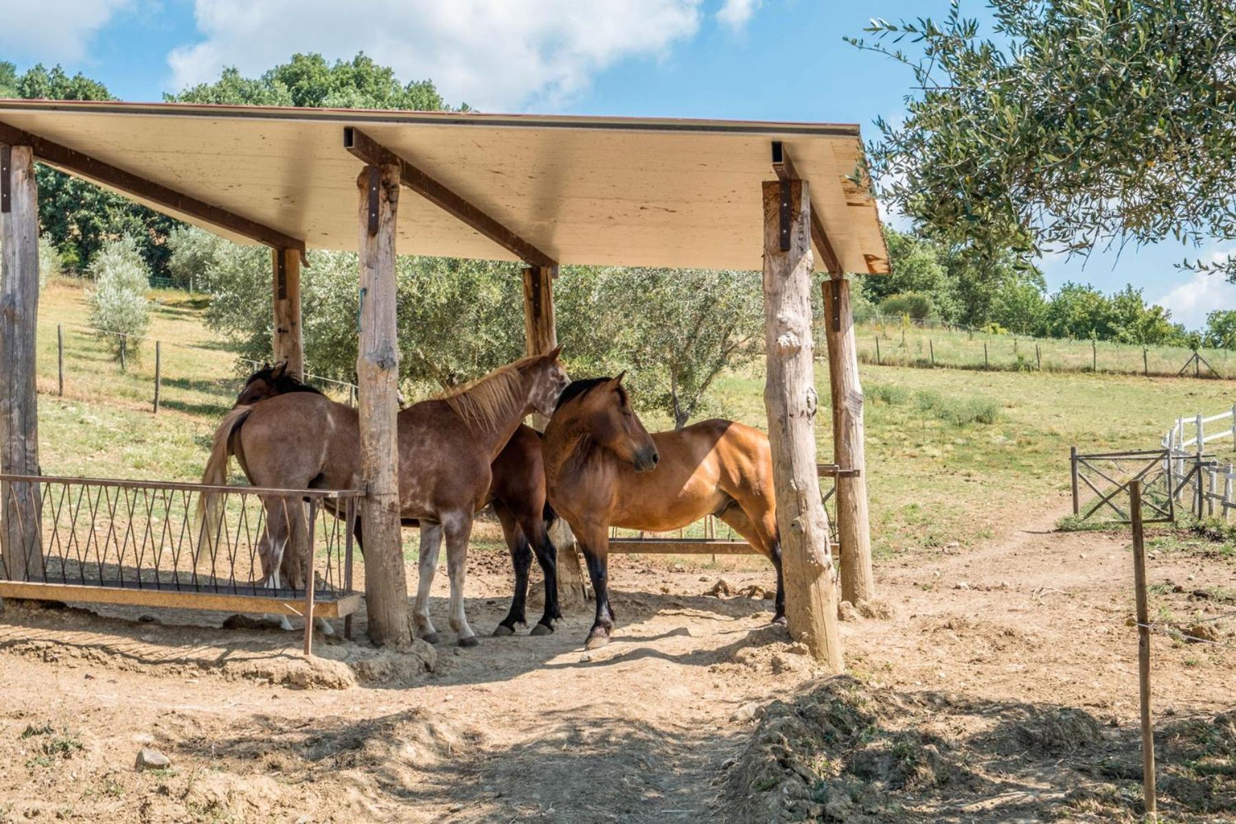 Agriturismo Goccia di Luna