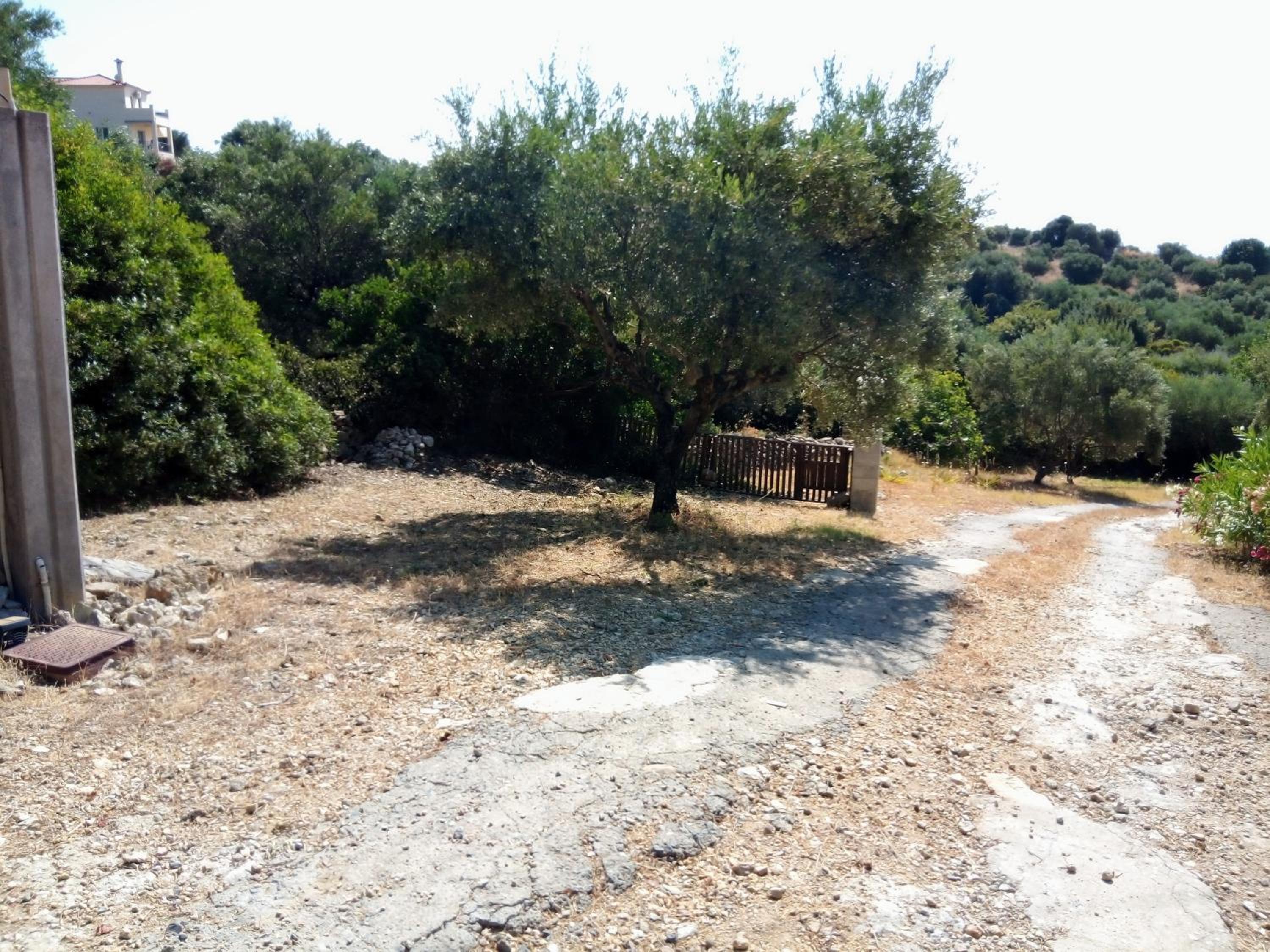 Villa Iremia photo 4