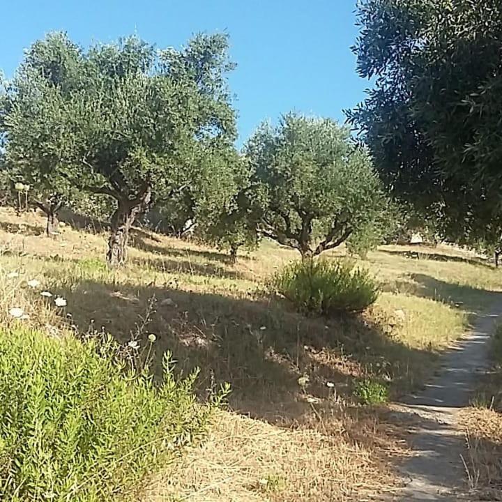 Villa Iremia