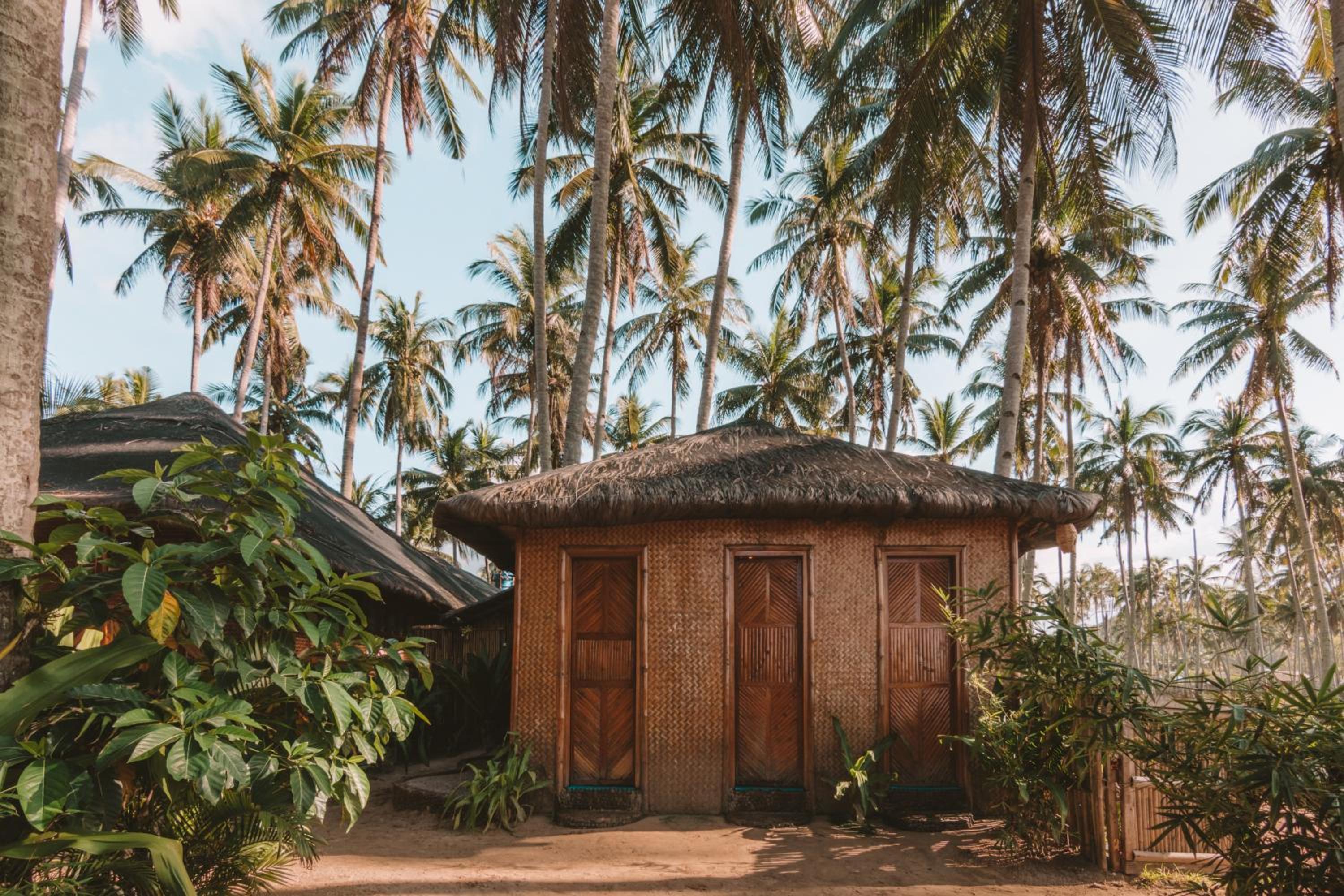 Mad Monkey Hostel Nacpan Beach — photo 77