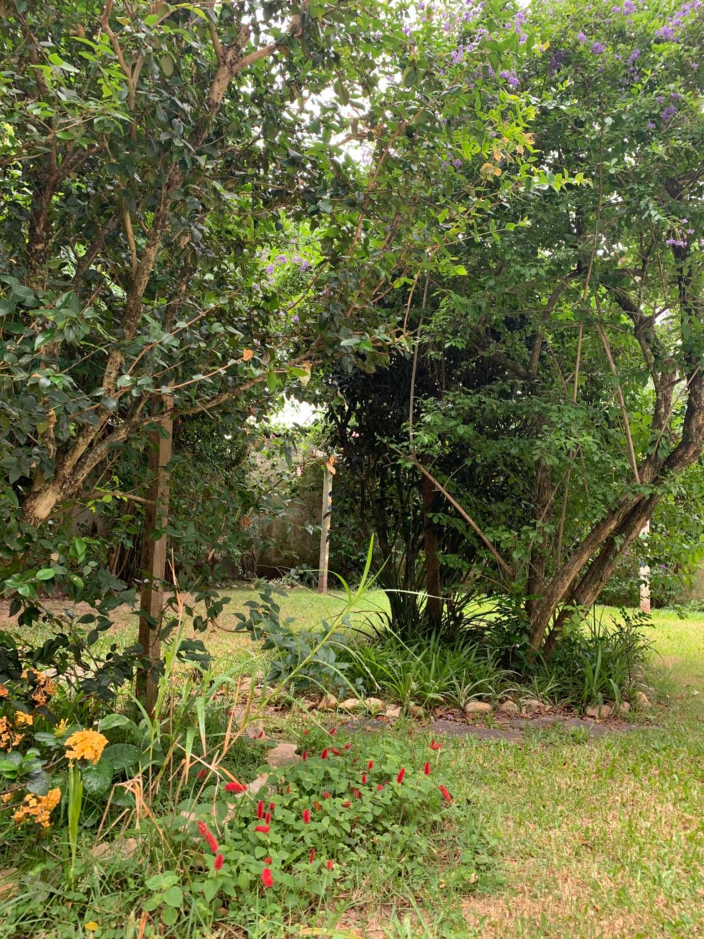 Sea Wolf Surf Hostel Campeche view 4