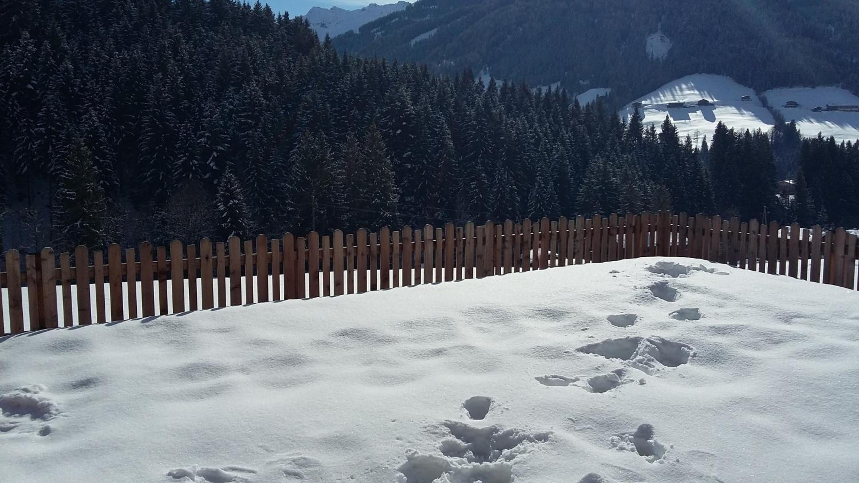 Appartement Hausberger