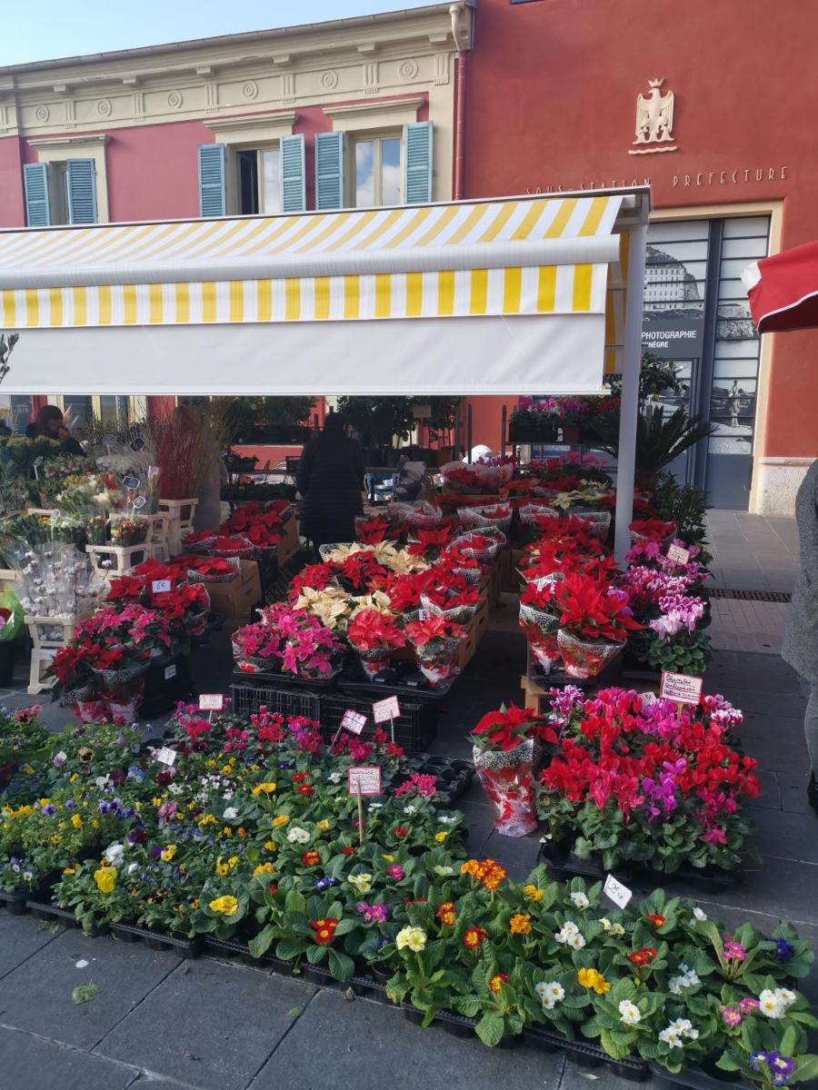 2 pièces Vieux-Nice N photo 4