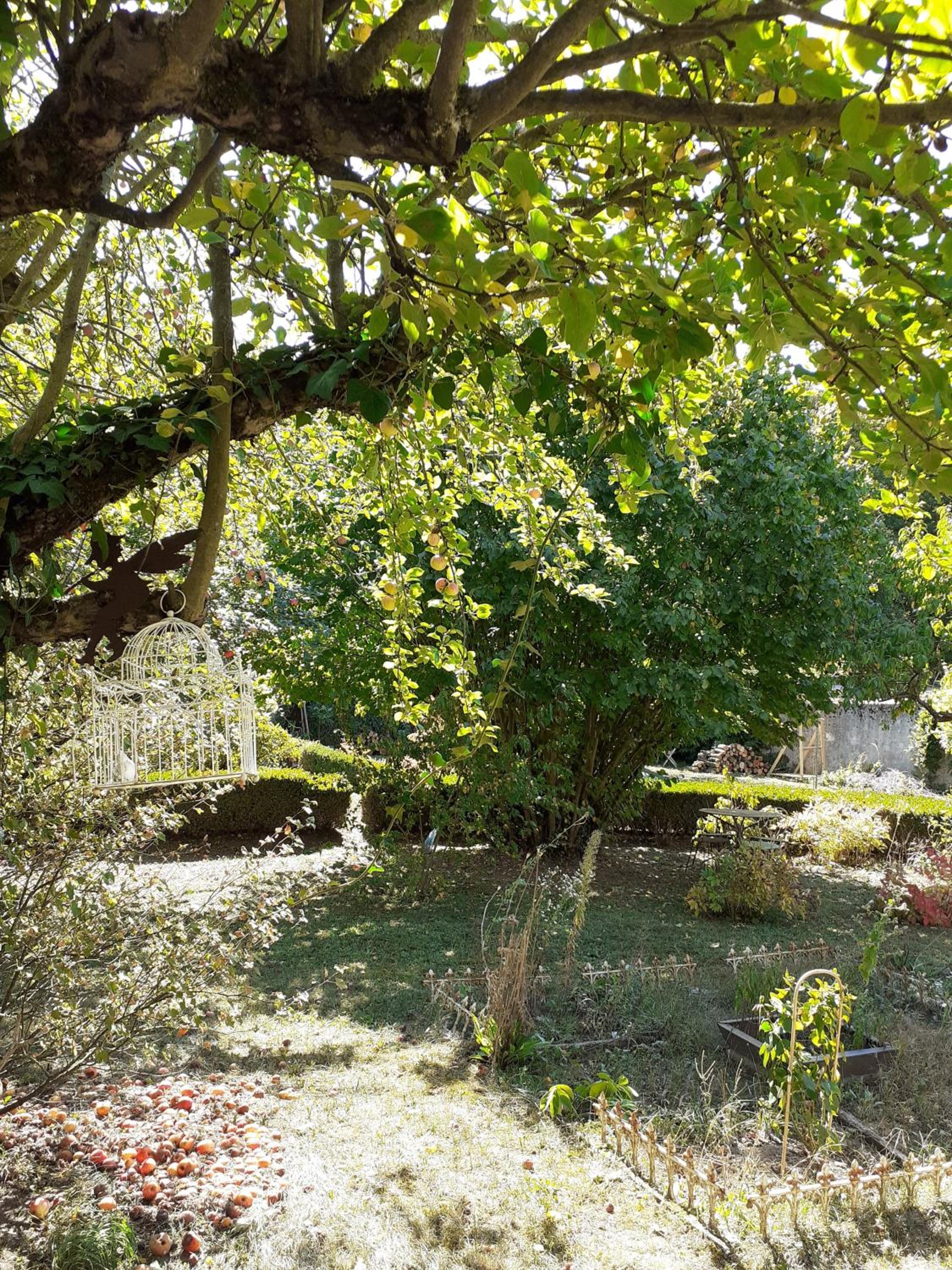 la grange aux oiseaux