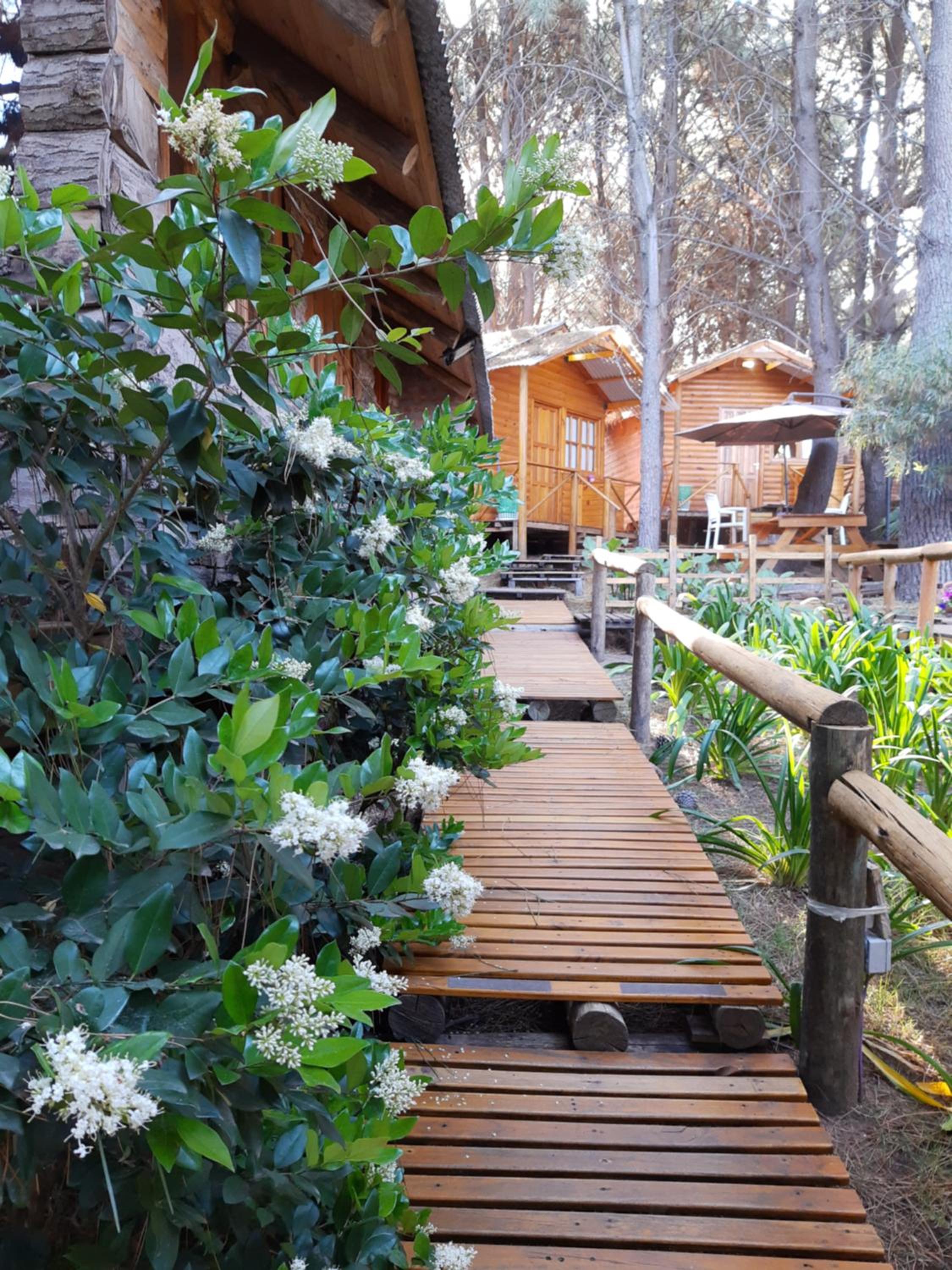 Cabanas Las Escondidas