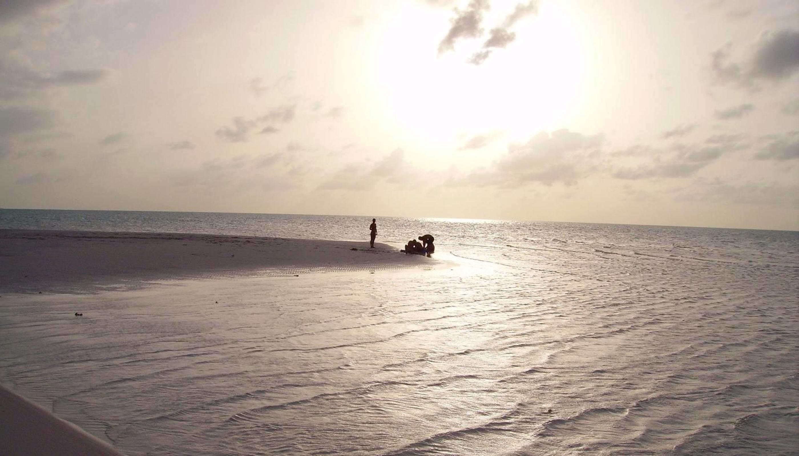 Paradise Bay Bahamas