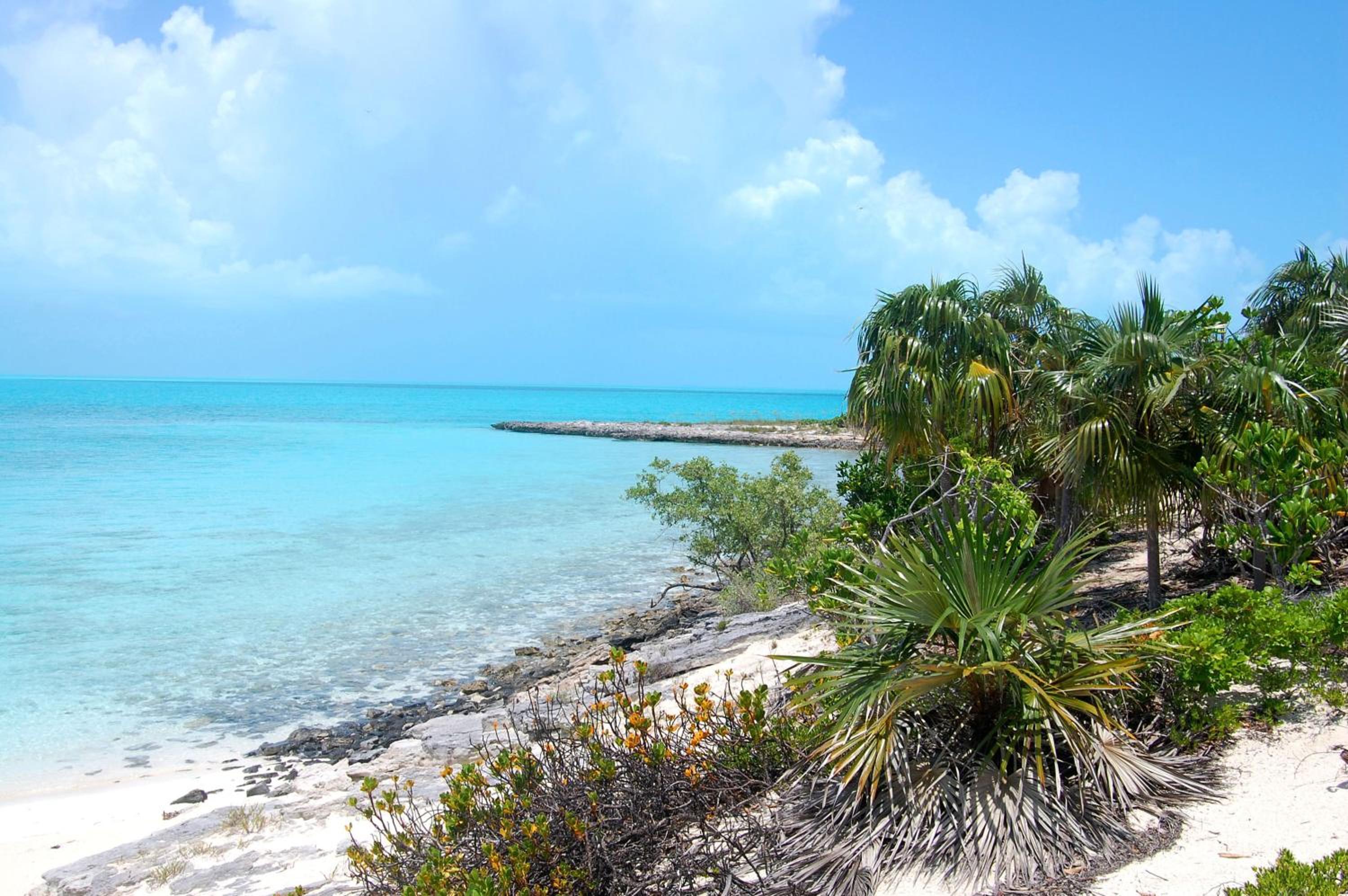 Paradise Bay Bahamas
