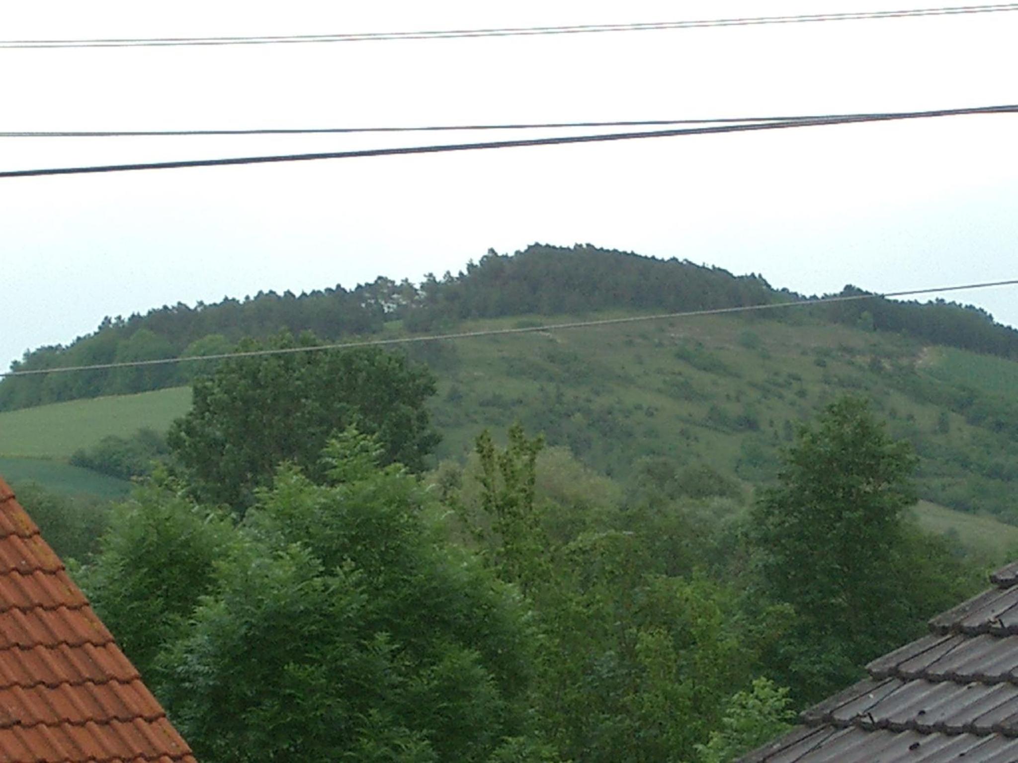 Photo 24