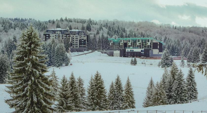 Silver Fox Residence view 3