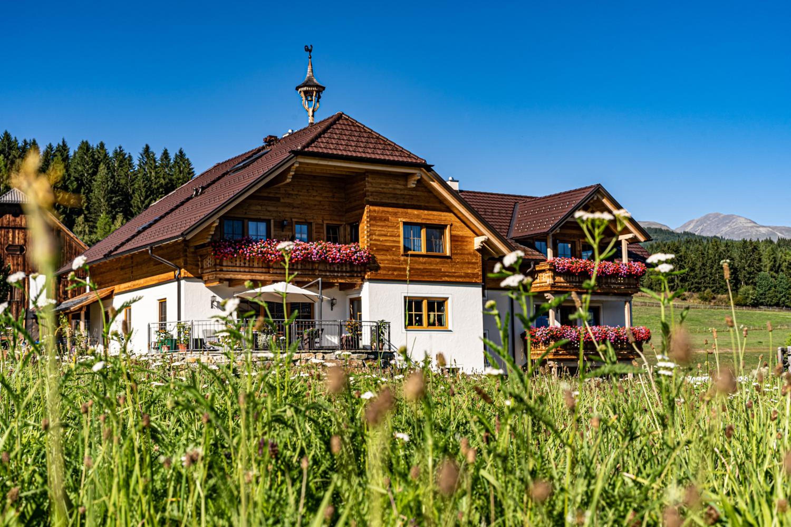 Biobauernhof Gast view 2