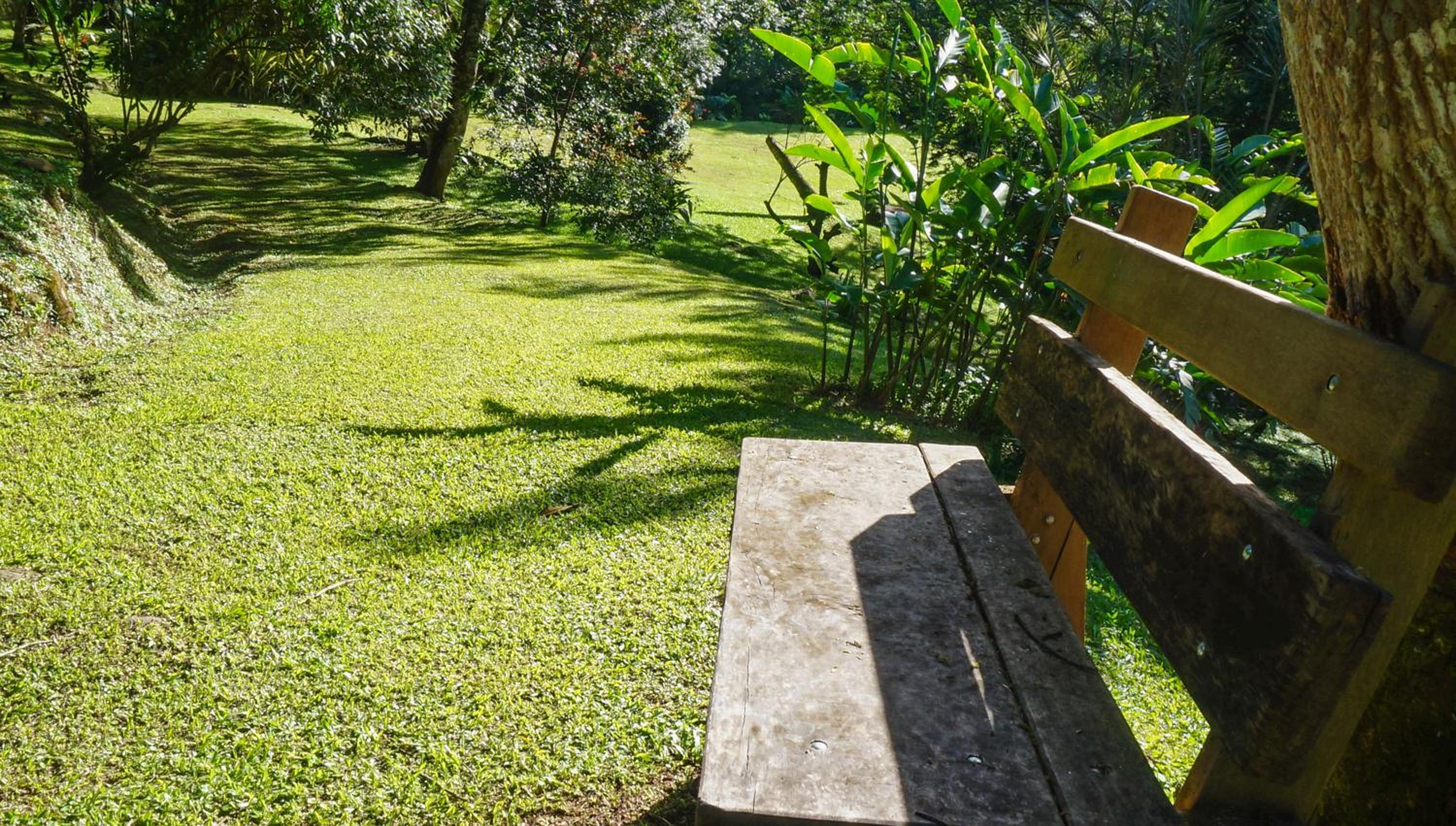 Hospedaje La Naciente